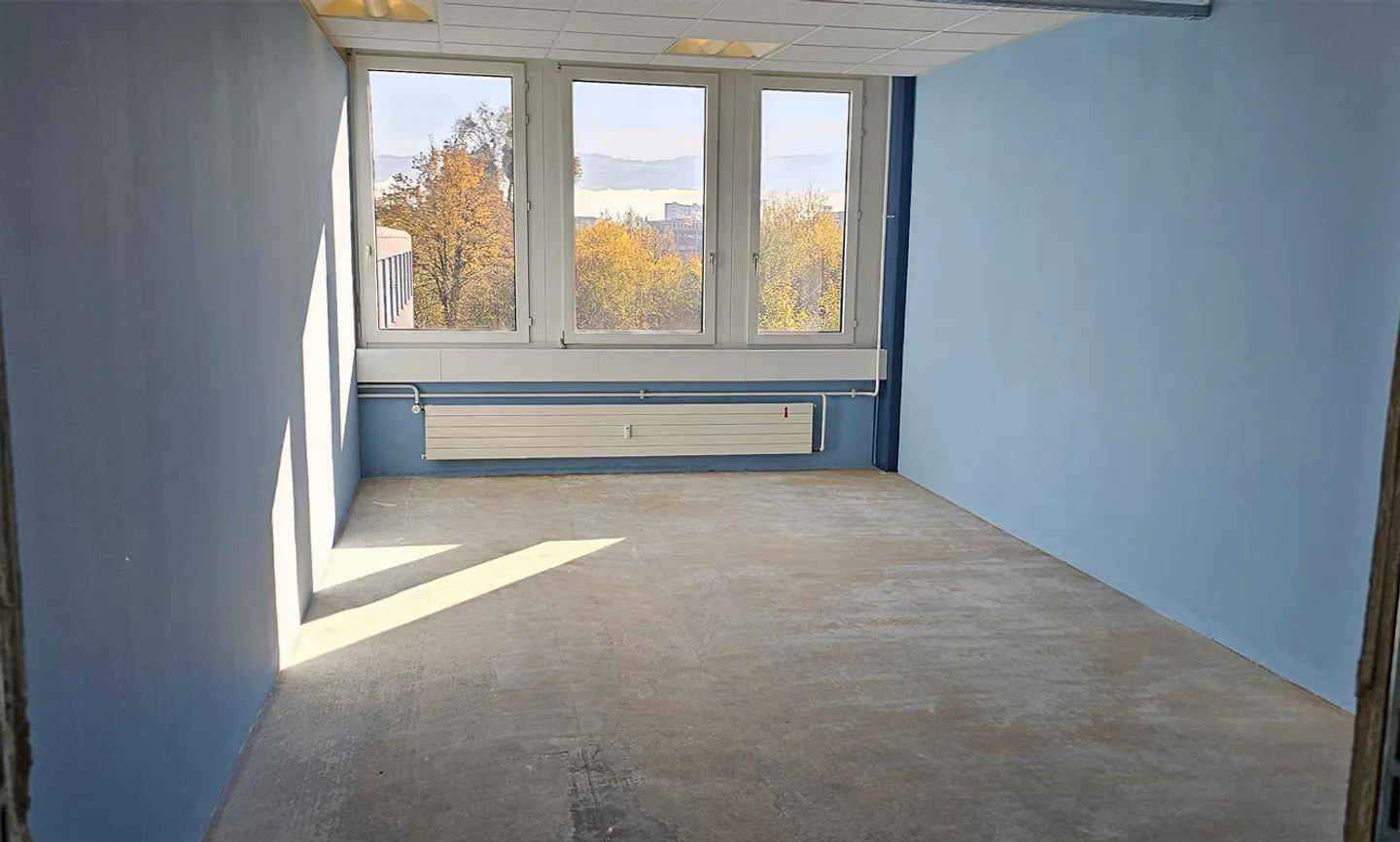 Warehouse/Archive with Daylight - Sennweid Business Area, Steinhausen - Photo 4 of 5