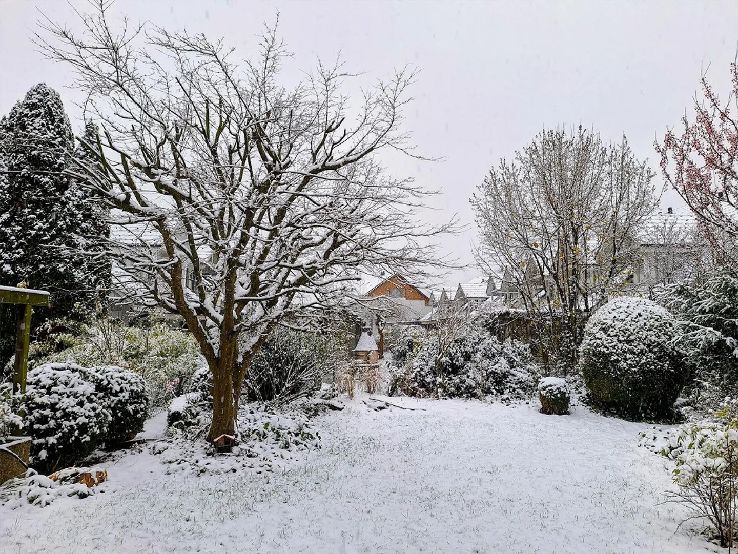 Casa indipendente con bel giardino, Münsingen - Foto 6 di 30