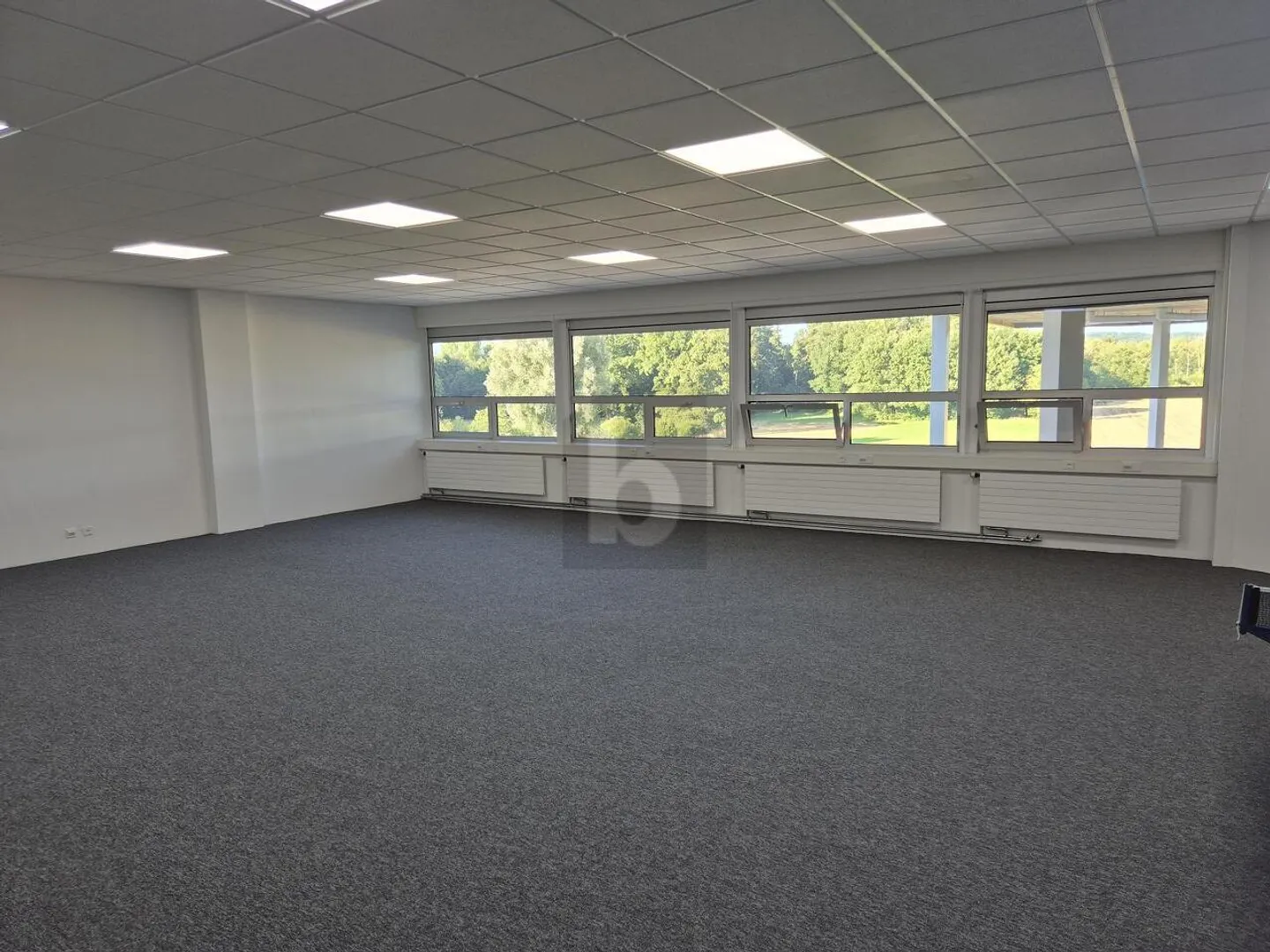 SPACIOUS AND ATTRACTIVE OFFICE - Photo 2 of 6