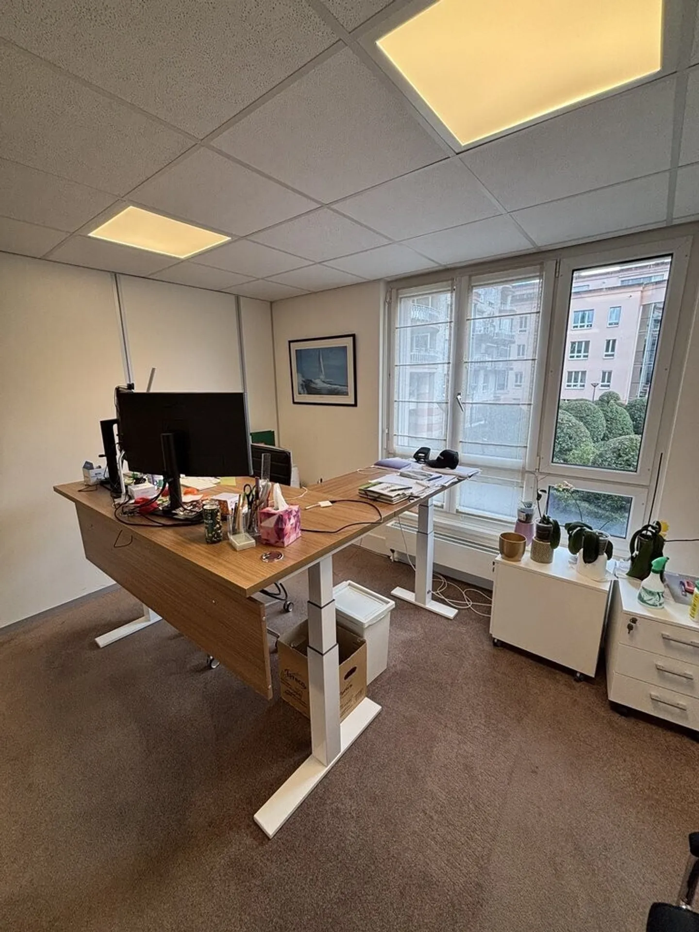 Da afferrare! Grande superficie commerciale a Nyon - Foto 4 di 12