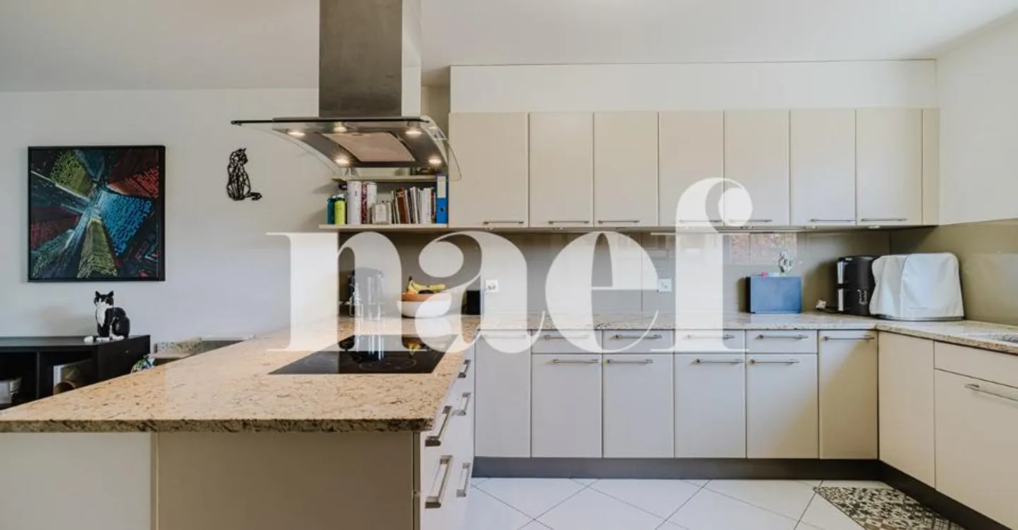 Charmante Doppelhaushälfte 230 m² Nutzfläche plus Garten, Terrasse und Doppelgarage in Vernier - Foto 4 von 13