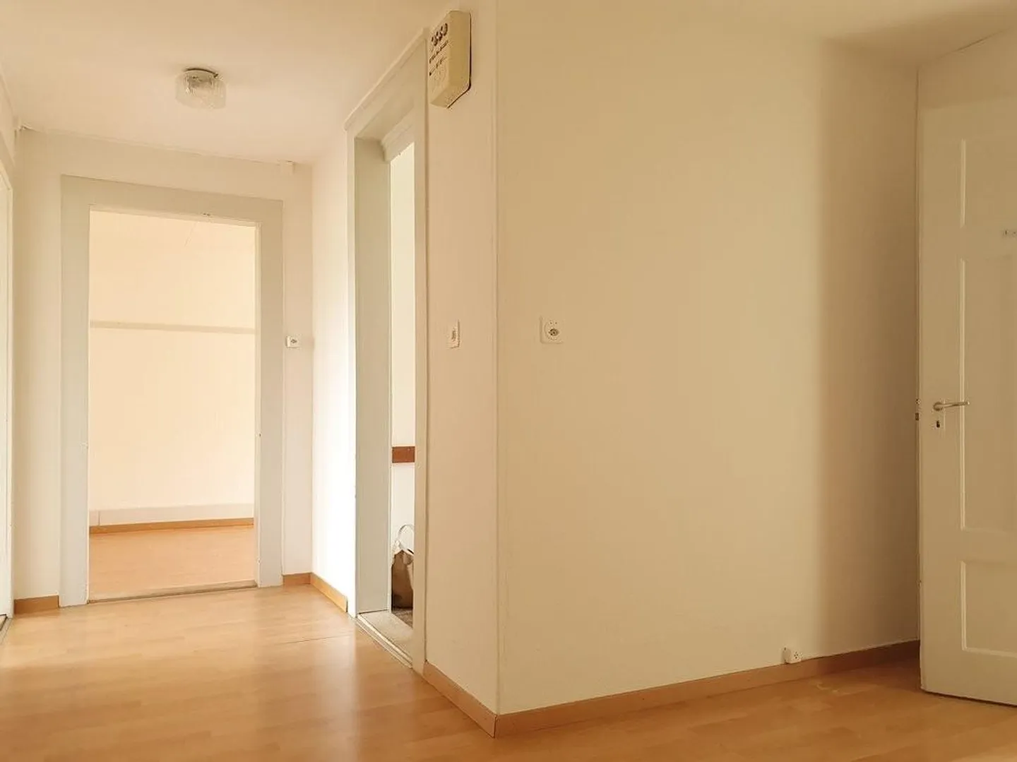 Vous cherchez quelque chose de spécial ? - Alors nous avons exactement ce qu'il vous faut ! - Photo 3 sur 9