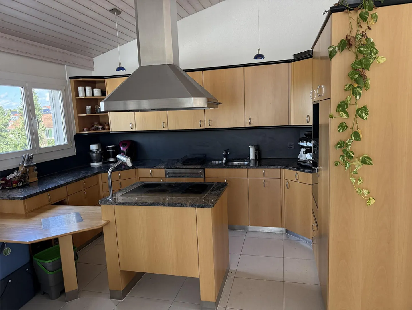 appartamento di 4.5 locali con una grande terrazza - Foto 14 di 18