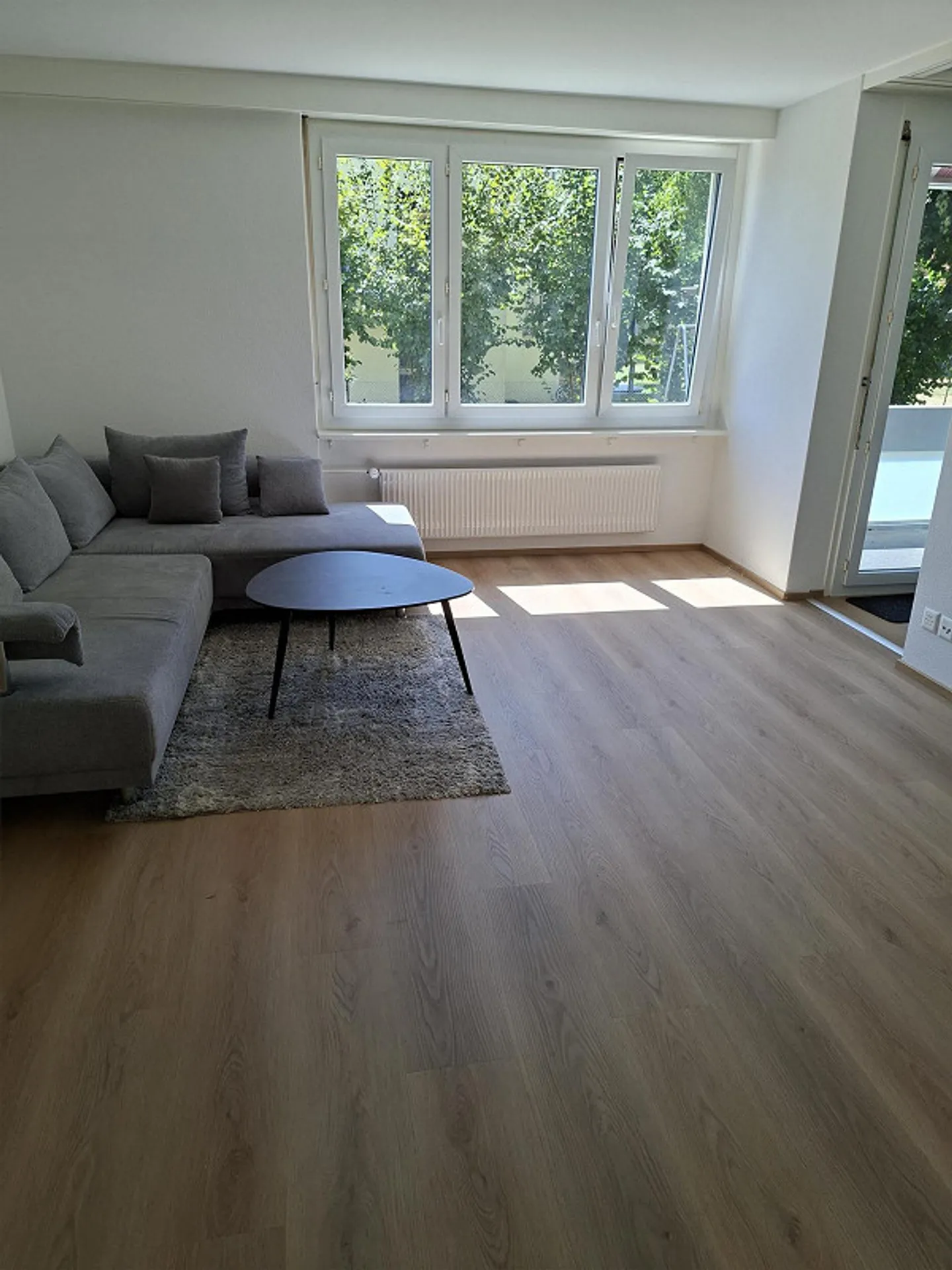 3.5 Room Apartment - Photo 6 of 12