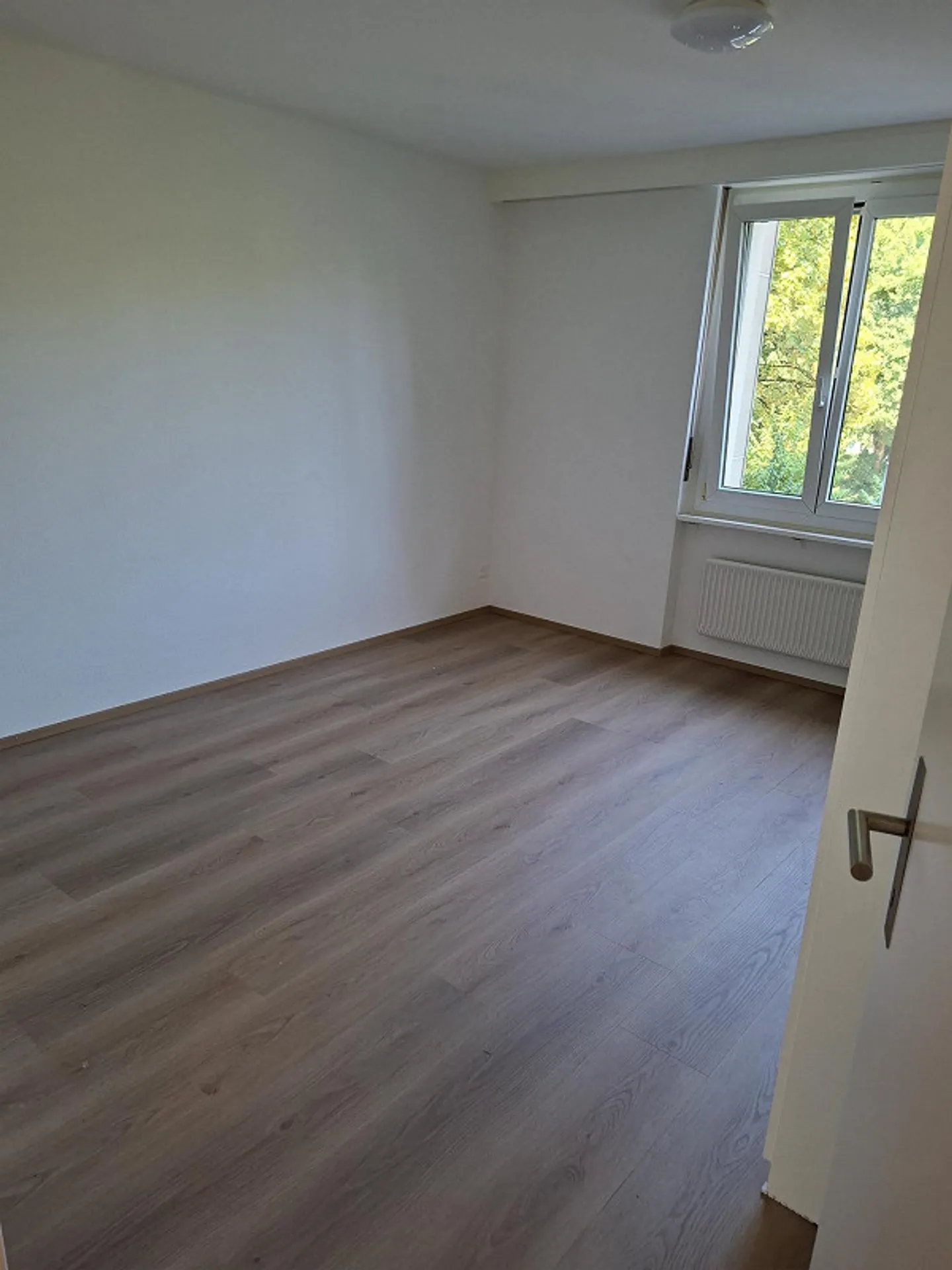3.5 Room Apartment - Photo 5 of 12