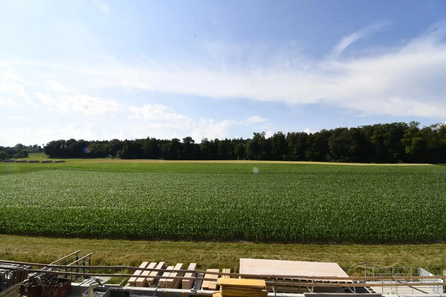 Jade - a gem to live in! - Photo 5 of 5