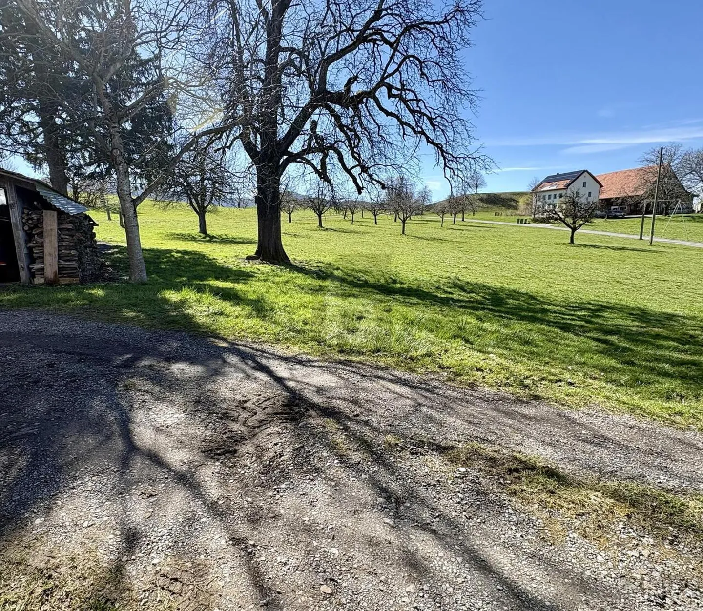 PRACTICAL AND VERSATILE - Photo 3 of 6