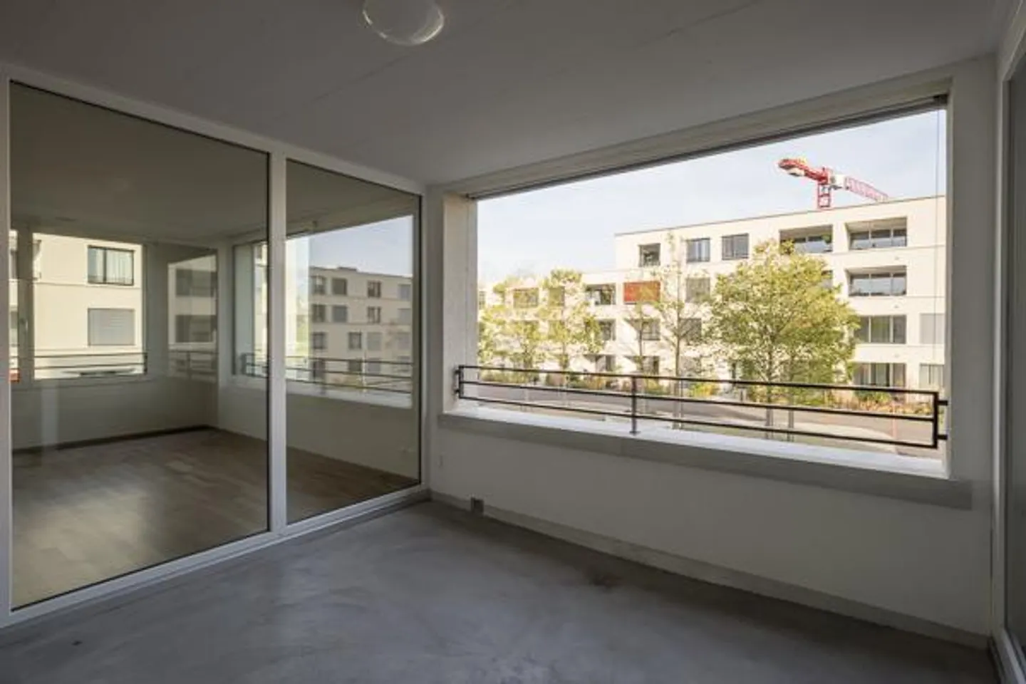 Looking for something special... - Photo 11 of 12