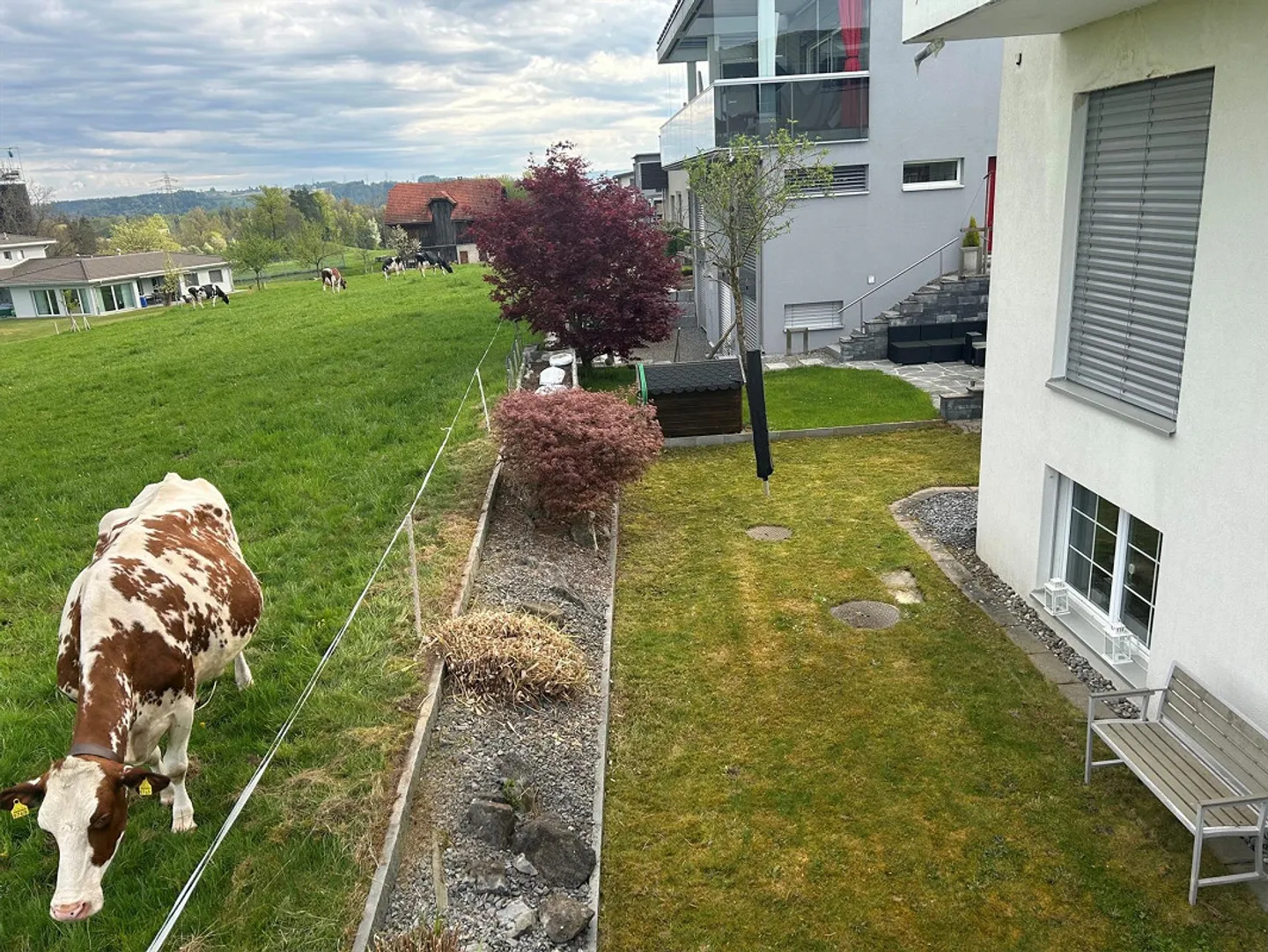 Nouvellement rénové, appartement d'affaires de 1,5 pièce meublé de haute qualité - Photo 4 sur 7