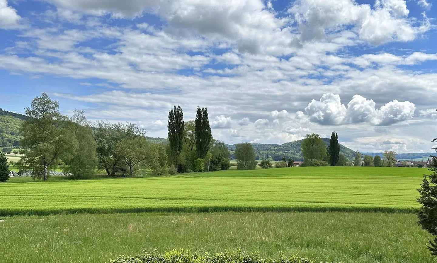 Bungalow moderno con vista non ostacolata - Foto 1 di 4
