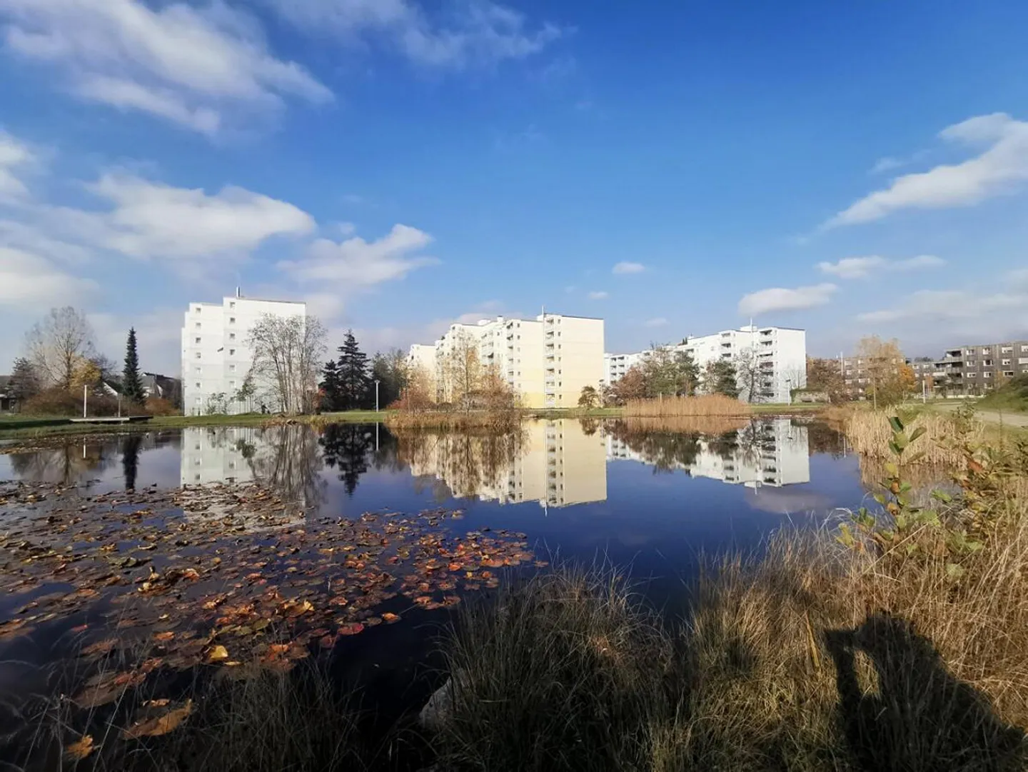 Votre nouveau chez-vous au Griespark - central et calme - Photo 1 sur 11