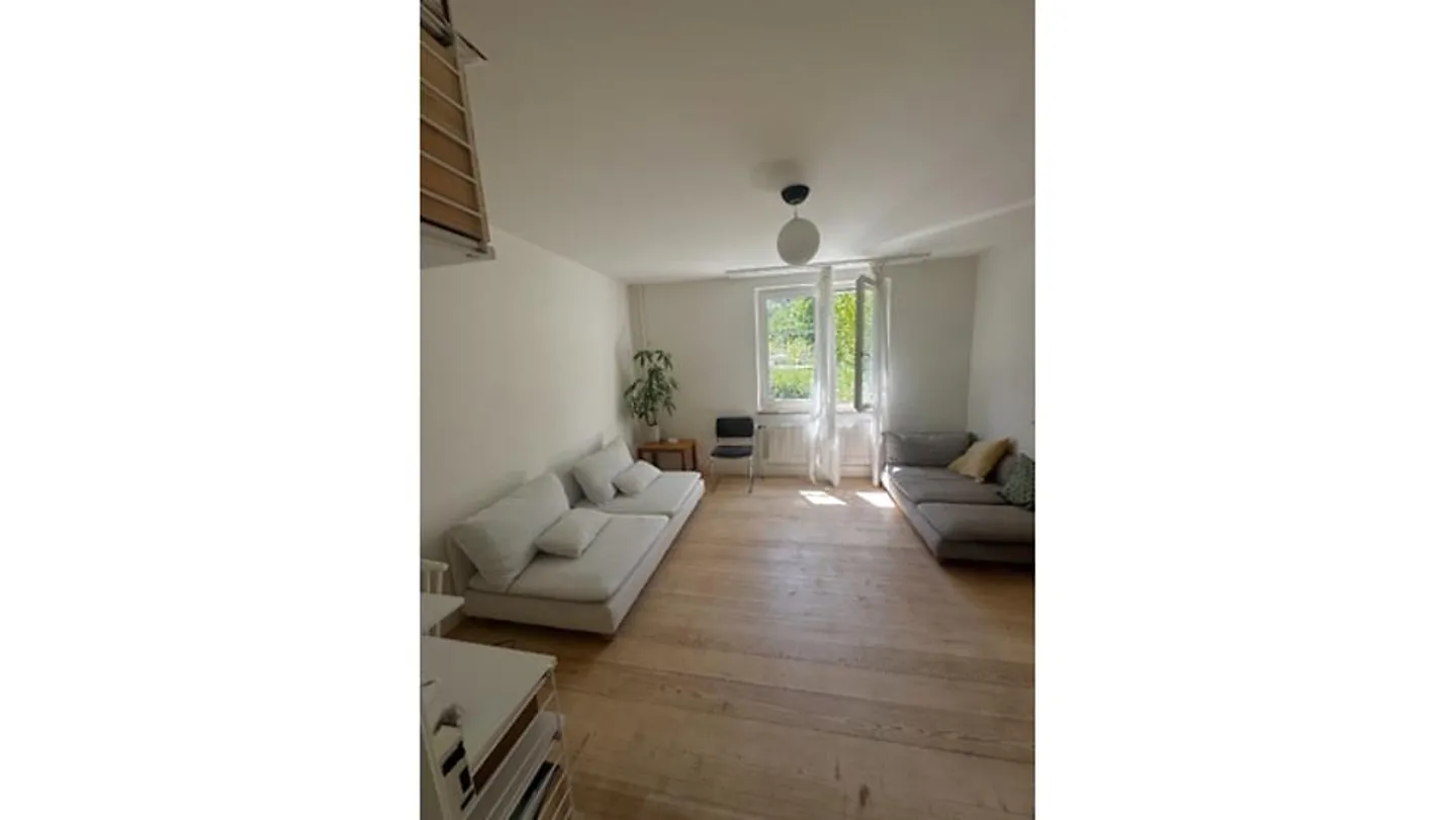5 ROOM HOUSE IN ZURICH - DISTRICT 3, FURNISHED, TEMPORARY - Photo 2 of 4
