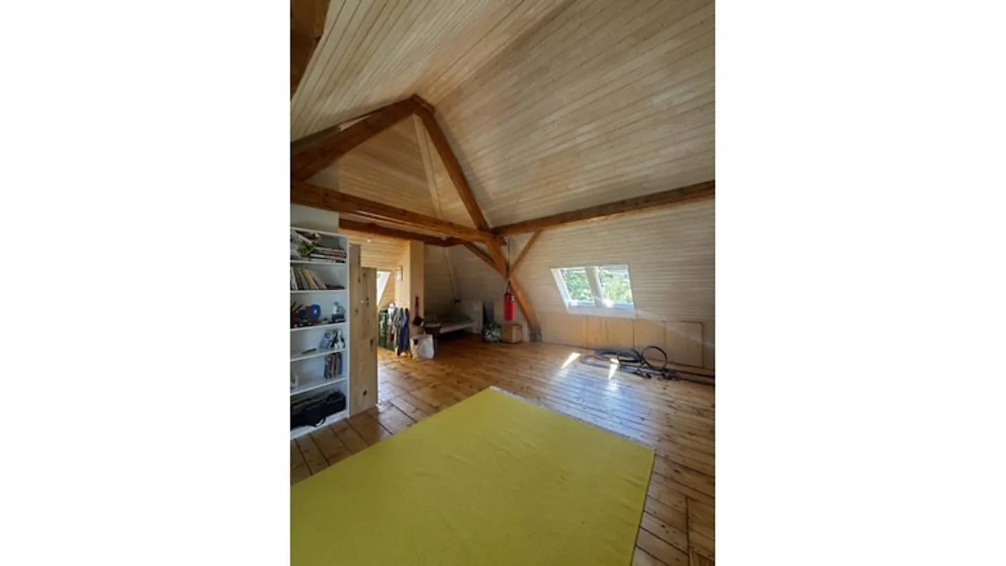 5 ROOM HOUSE IN ZURICH - DISTRICT 3, FURNISHED, TEMPORARY - Photo 4 of 4