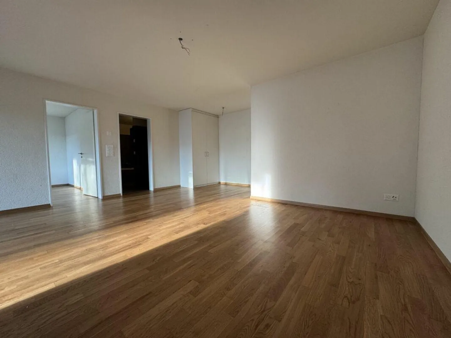 Appartamento luminoso di 2,5 stanze con terrazza di 20m2 - Foto 5 di 15