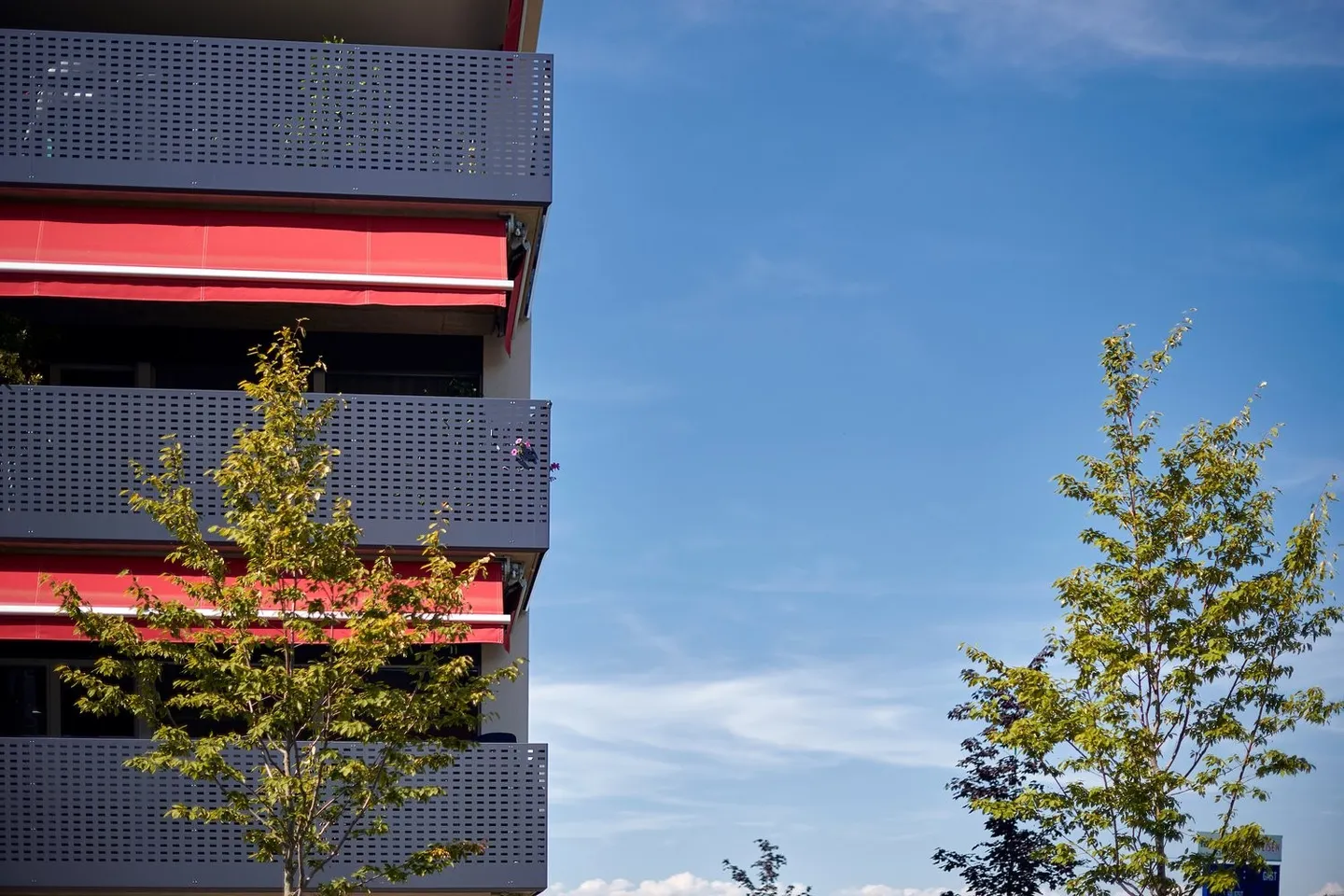 Geräumige 3.5 Zimmerwohnung - Foto 8 von 8