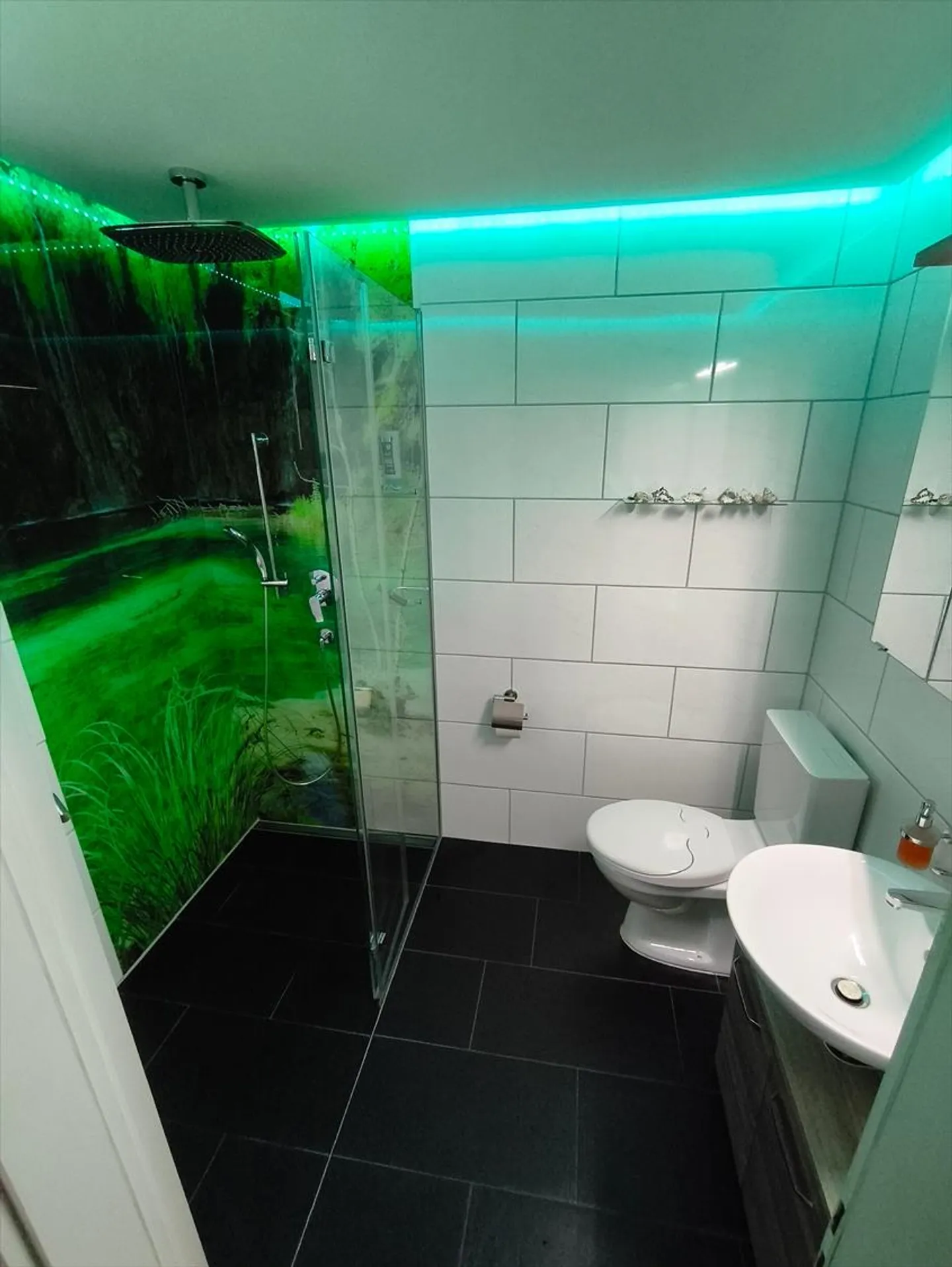Casa unifamiliare da sogno di 6,5 stanze a Baldingen - Efficiente dal punto di vista energetico e modernizzata - Foto 12 di 13