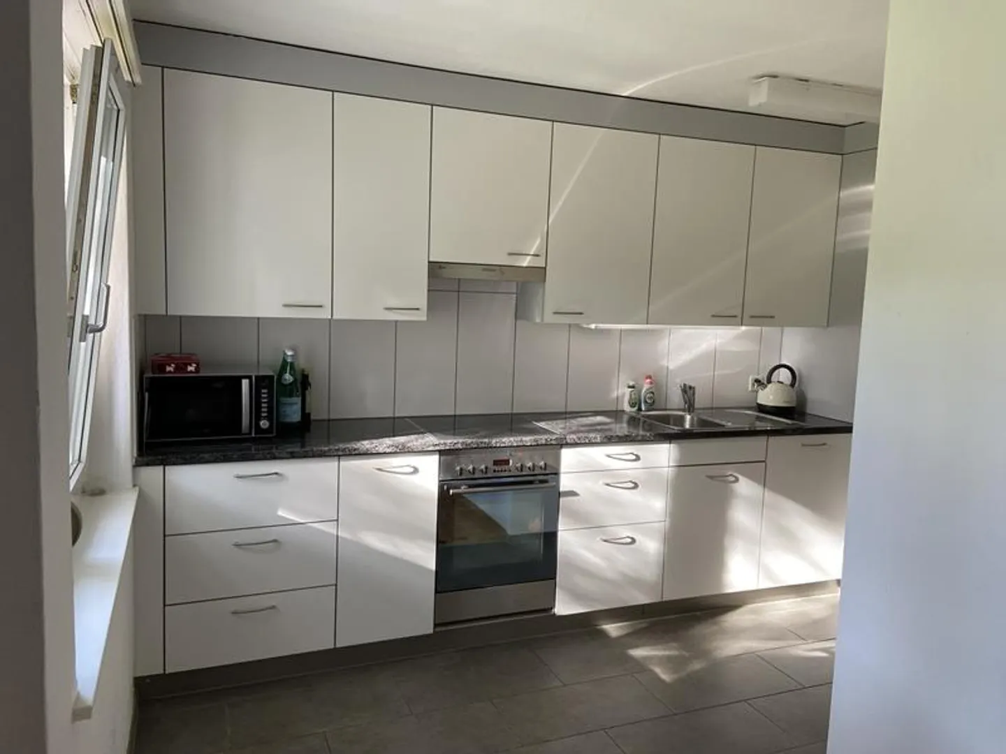 Appartamento con area salotto nel giardino vicino al Greifensee - Foto 2 di 8