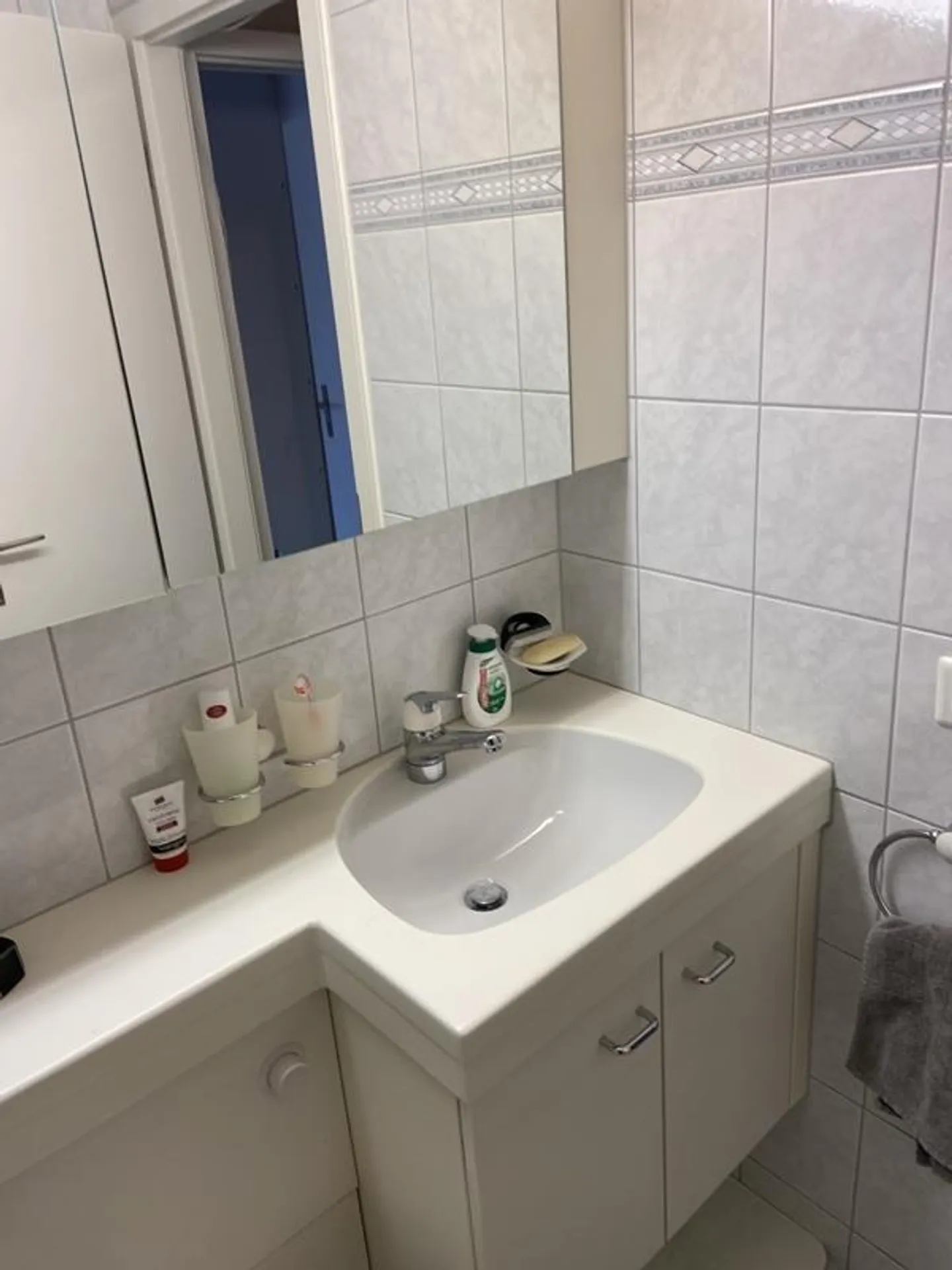 Appartamento con area salotto nel giardino vicino al Greifensee - Foto 5 di 8