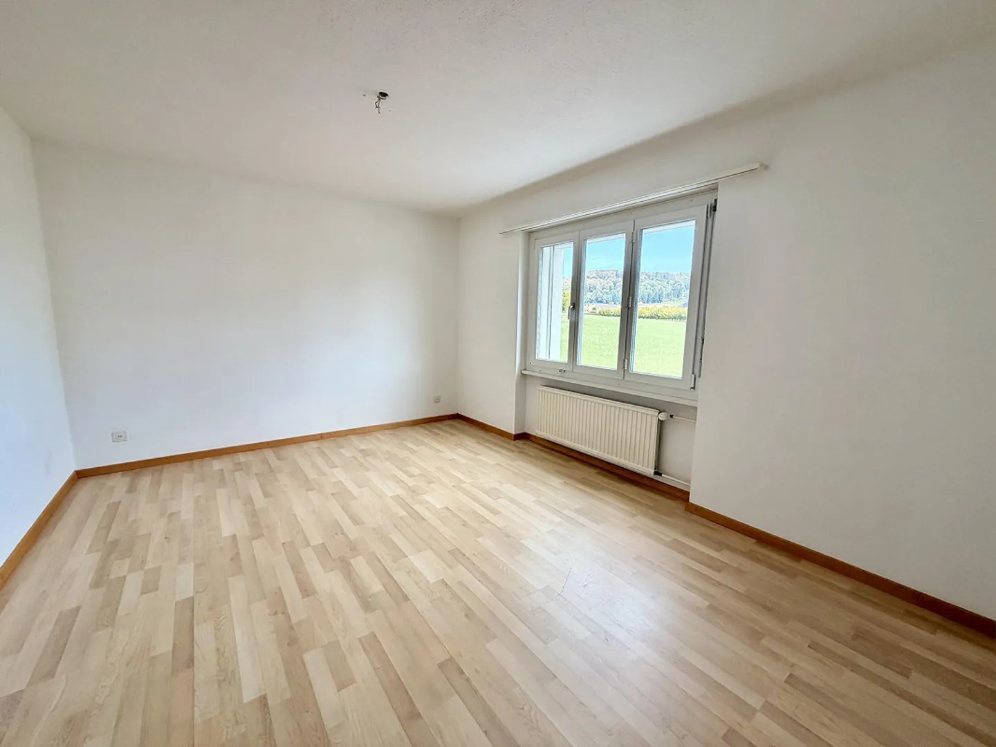 Appartement 4.5 pièces en zone rurale - Photo 5 sur 11
