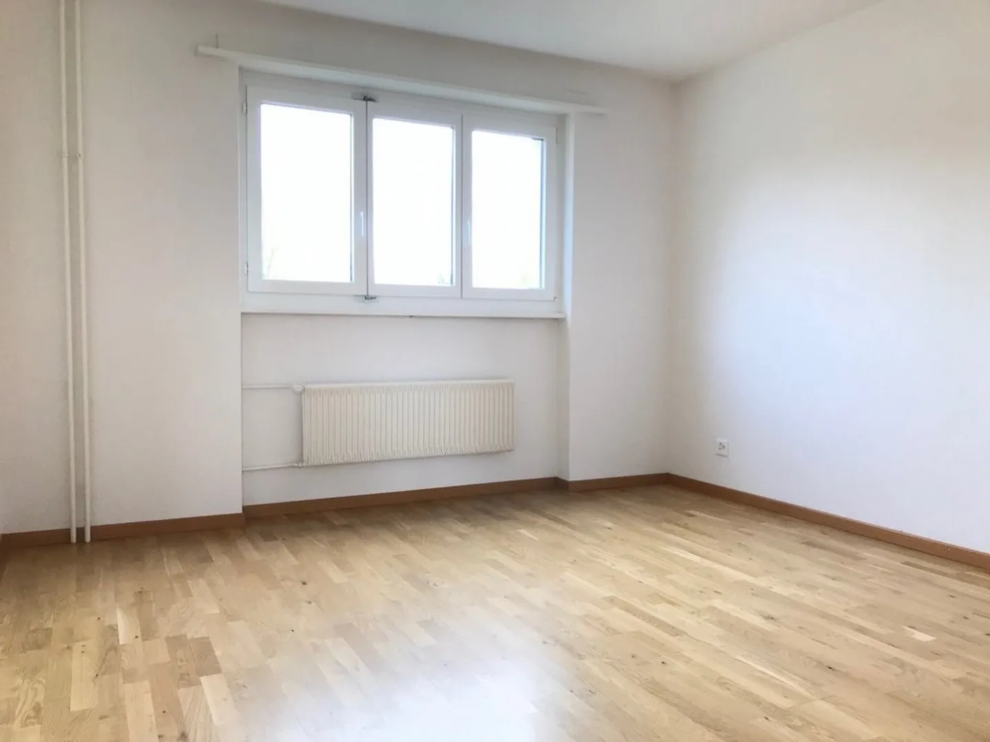 Appartamento moderno 3.5 locali - Foto 3 di 5