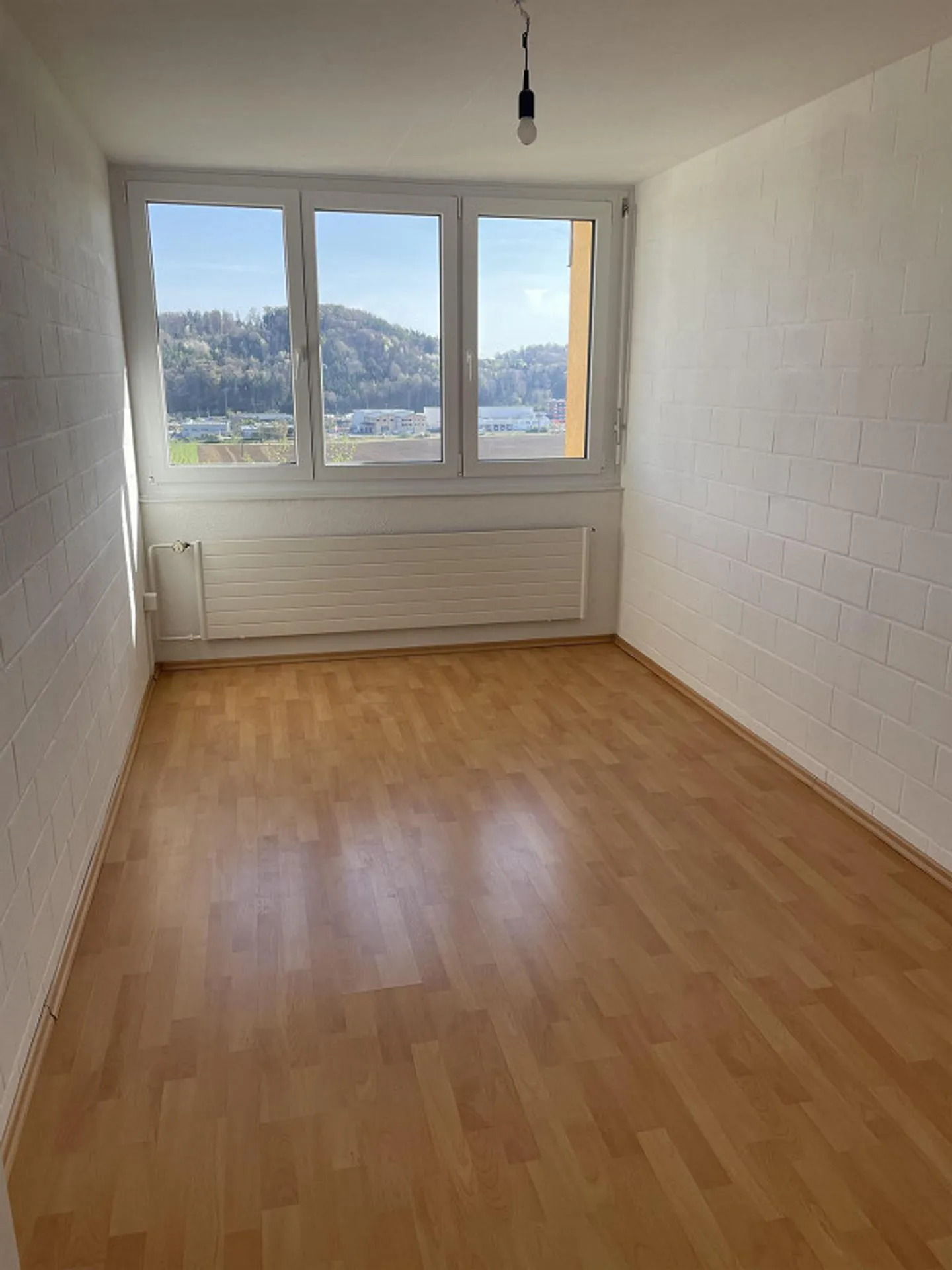 House in Thayngen with beautiful views and garden - Photo 13 of 28