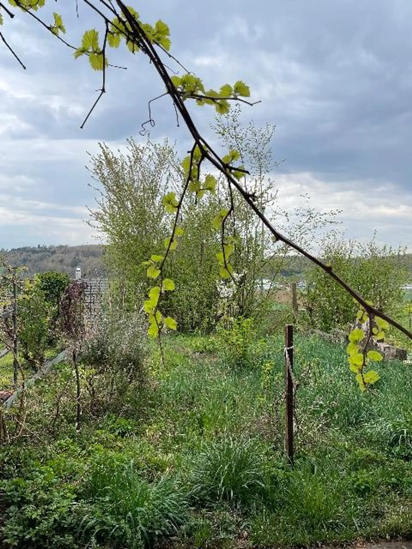 House in Thayngen with beautiful views and garden - Photo 19 of 28