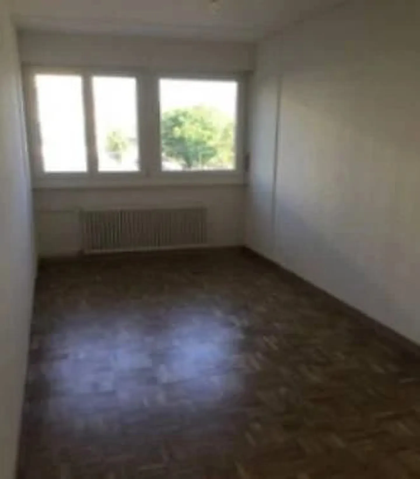 Charming Apartment in Grand Lancy - Photo 3 of 4