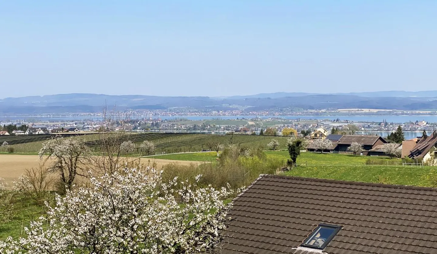 Stimmiges Einfamilienhaus in baubiologischer Bauweise - Foto 3 von 5