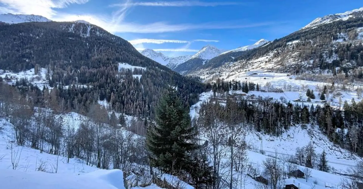 Canadian log cabin with two apartments and stunning views - Photo 4 of 13