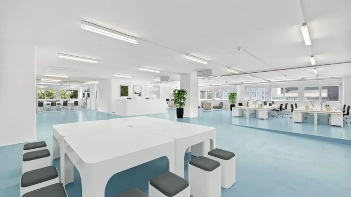 «Moderne Bürofläche direkt am Rheinufer beim Dreiländereck» - Foto 3 von 8