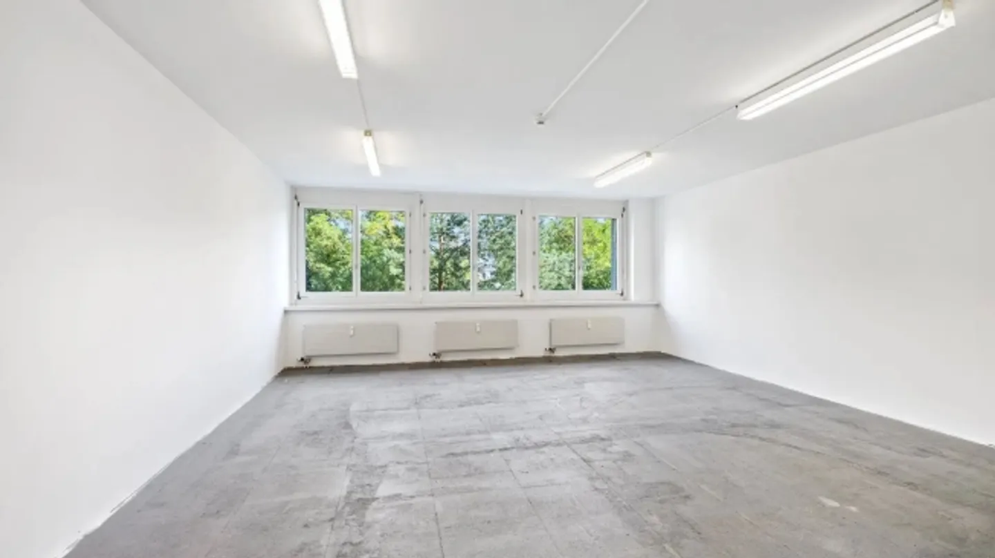 «Moderne Bürofläche direkt am Rheinufer beim Dreiländereck» - Foto 4 von 8