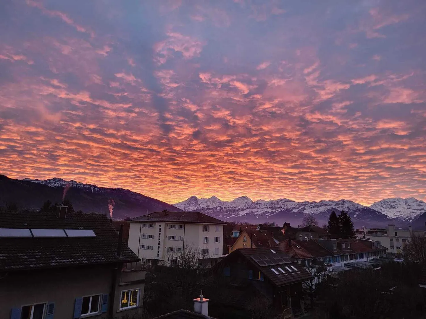 Charmante Dachwohnung in Thun - Foto 8 von 8