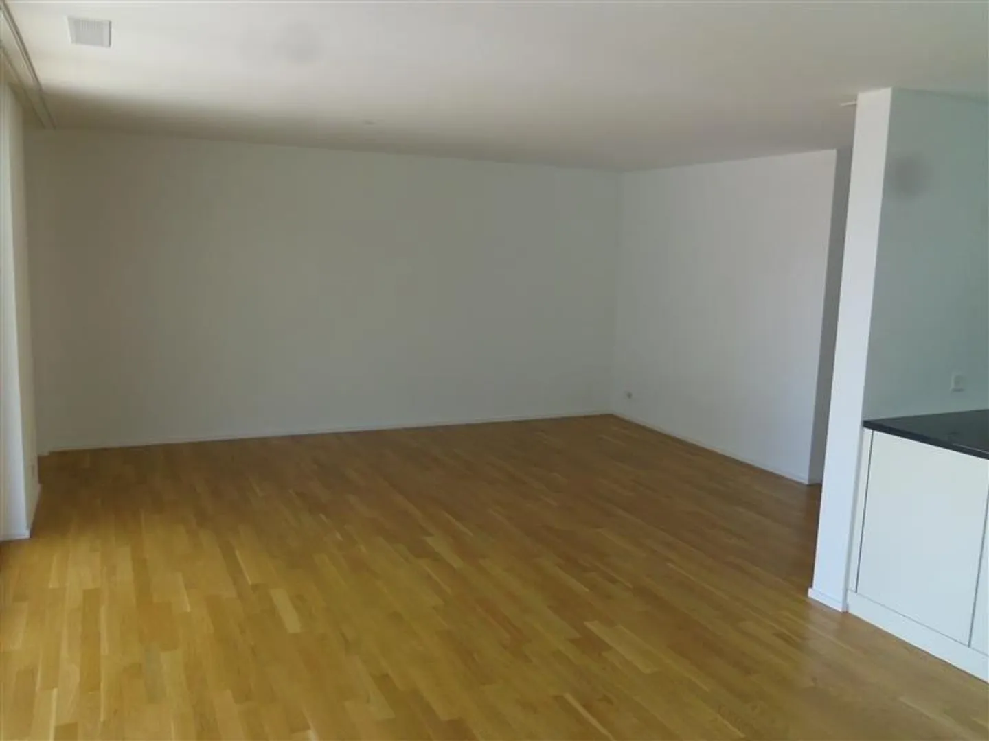 Beautiful apartment for rent in Unterterzen! - Photo 3 of 9