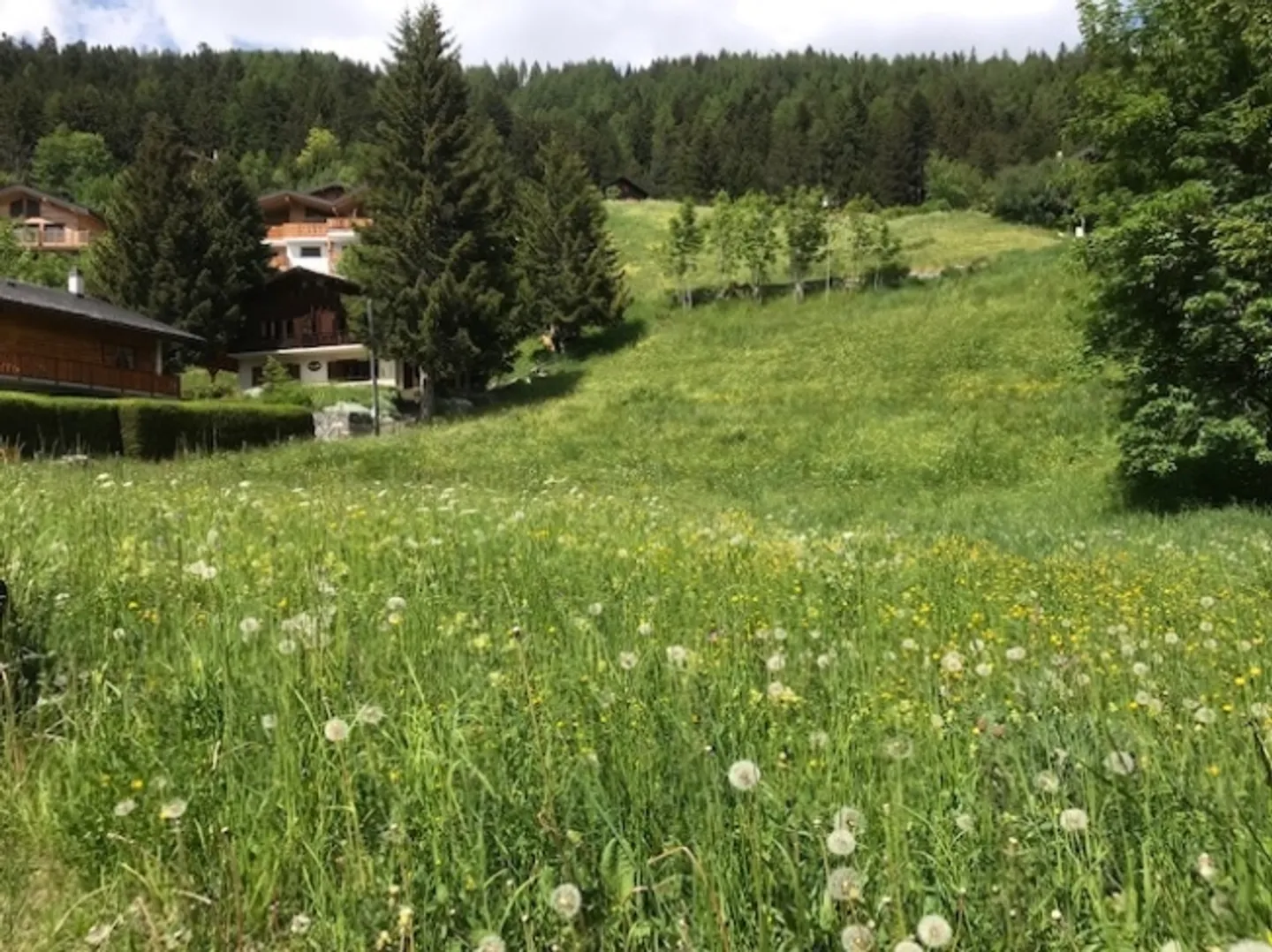 Wonderful plot in the heart of the village - Photo 1 of 7