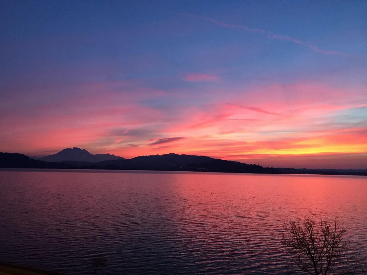 Direct View of the Lake: 5.5-Room Garden Apartment - Photo 9 of 9