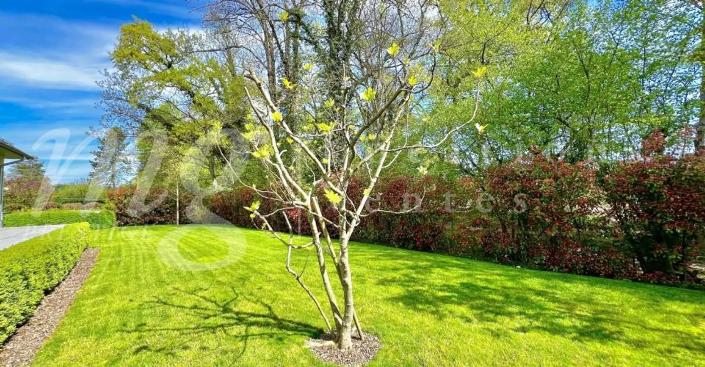 SUPERB UND GROSSES HAUS MIT 10 ZIMMERN - 350 m2 - HPE - 1100 m2 GARTEN UND GROSSER AUSSEN-JACUZZI - Foto 4 von 11