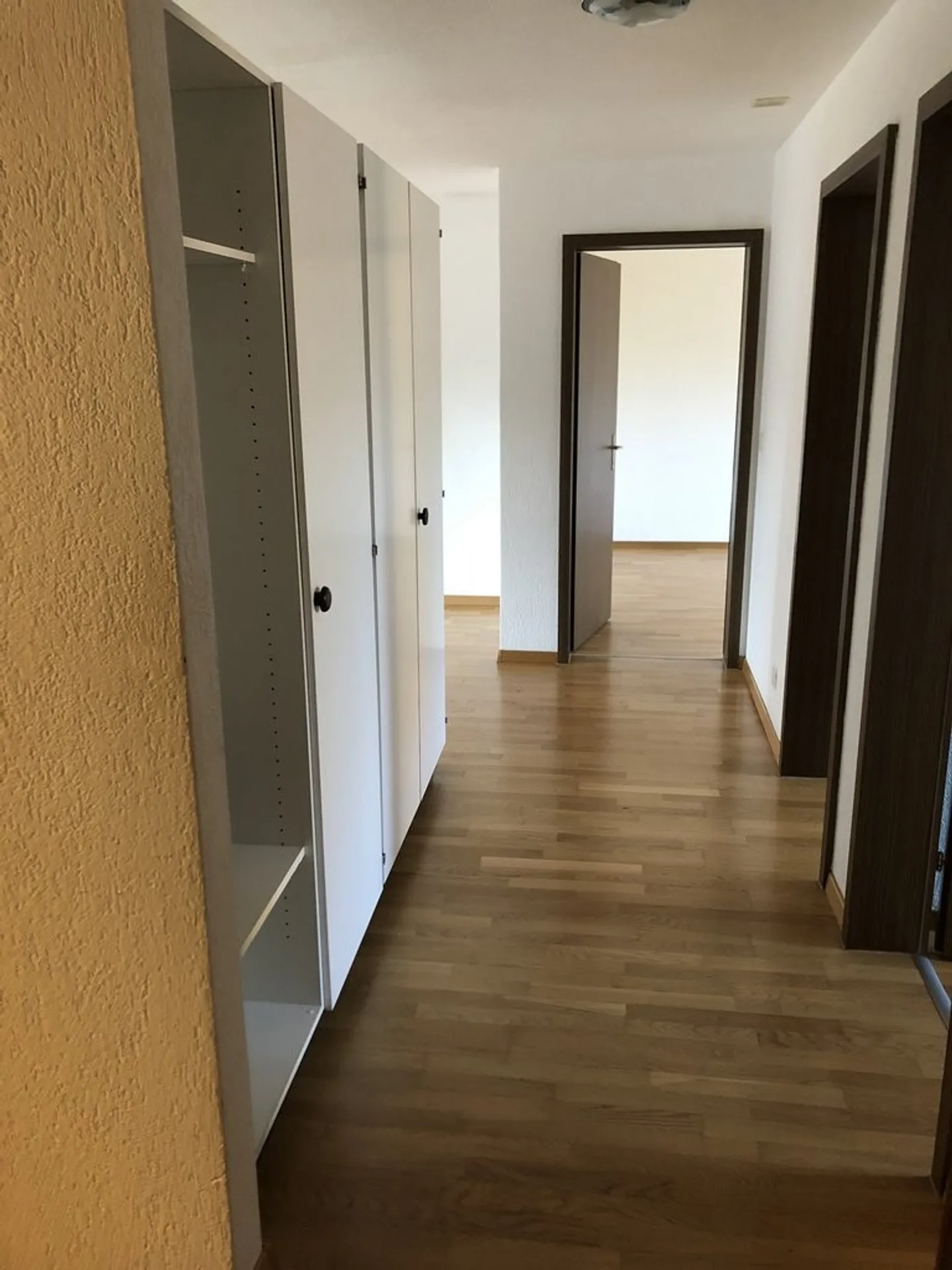 Geräumige Wohnung im Neufeld - Foto 2 von 6