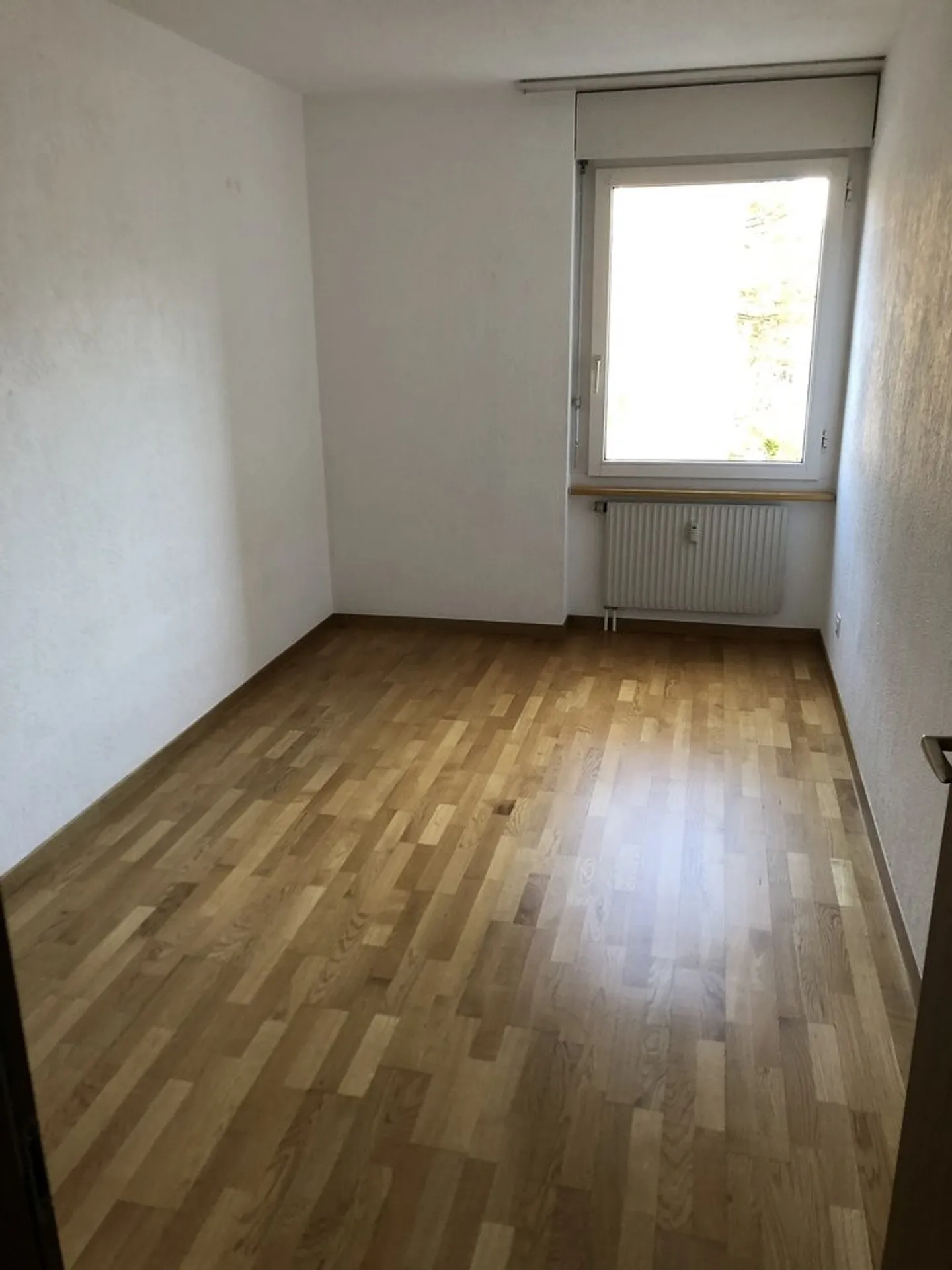 Geräumige Wohnung im Neufeld - Foto 3 von 6