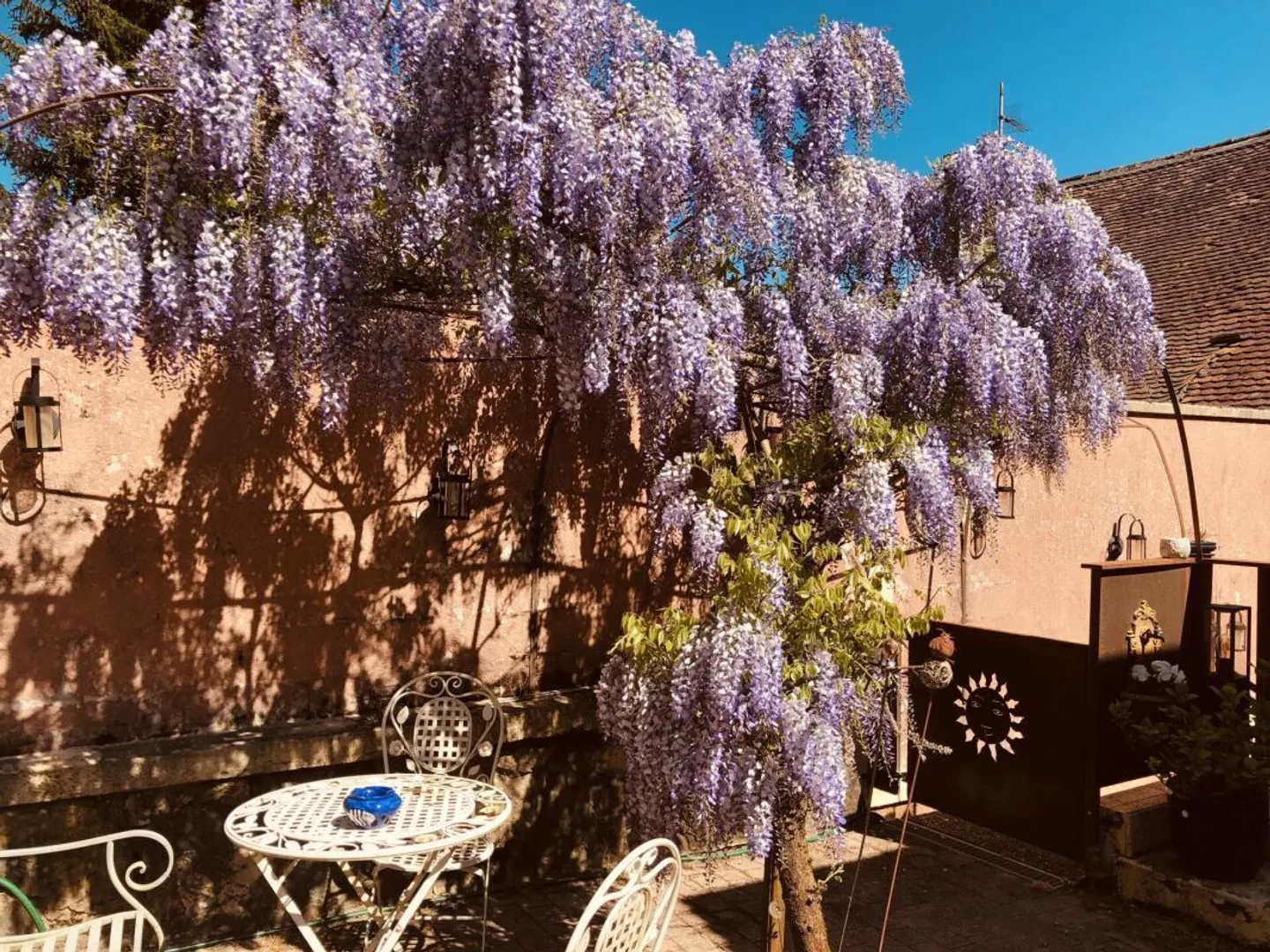 Yvonand - favorite at Mauguettaz - Photo 3 of 20