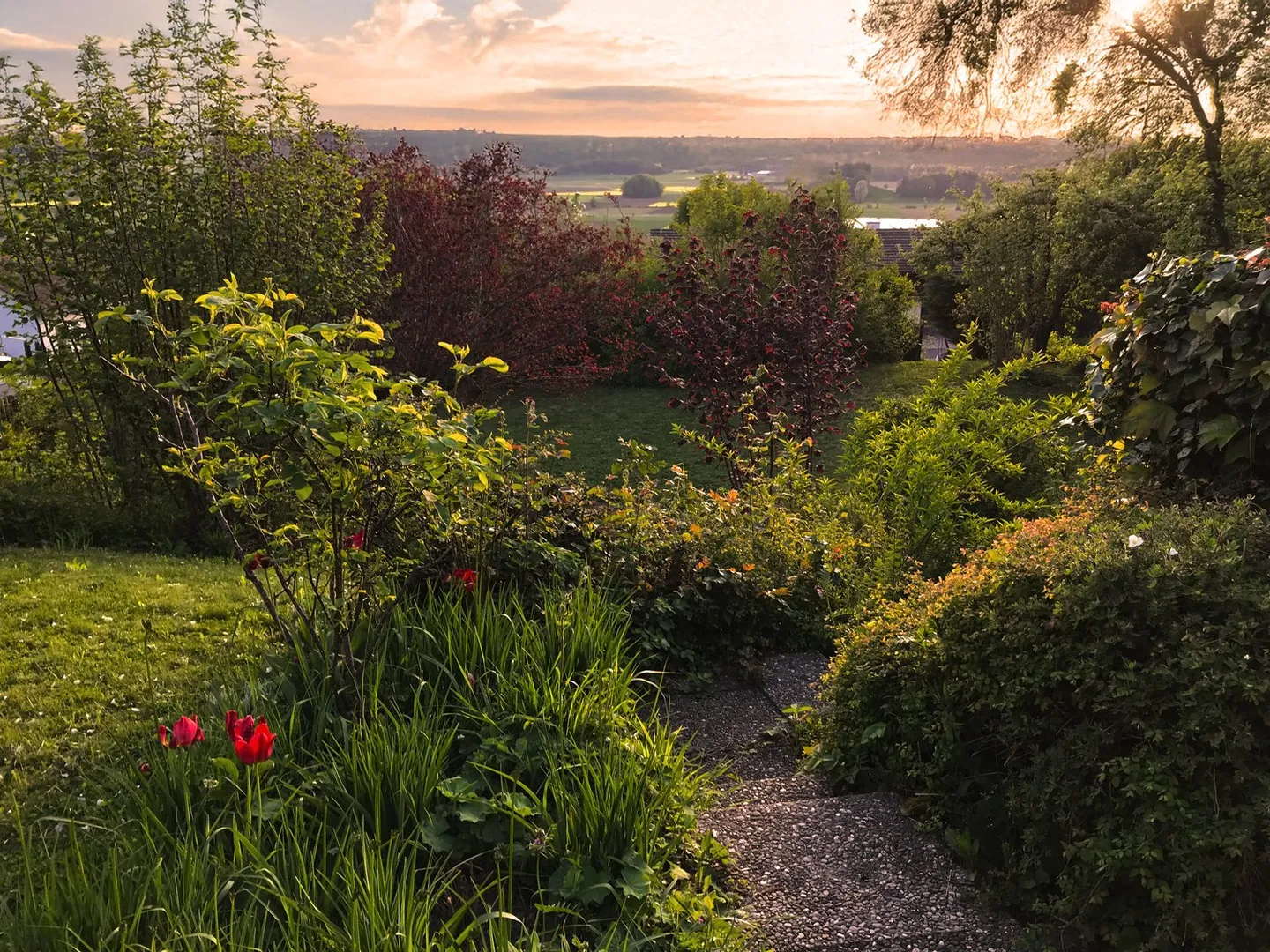 Repräsentatives 6½-Zimmer-Einfamilienhaus – Exklusives Wohnen am sonnigen Rebhang - Foto 4 von 11