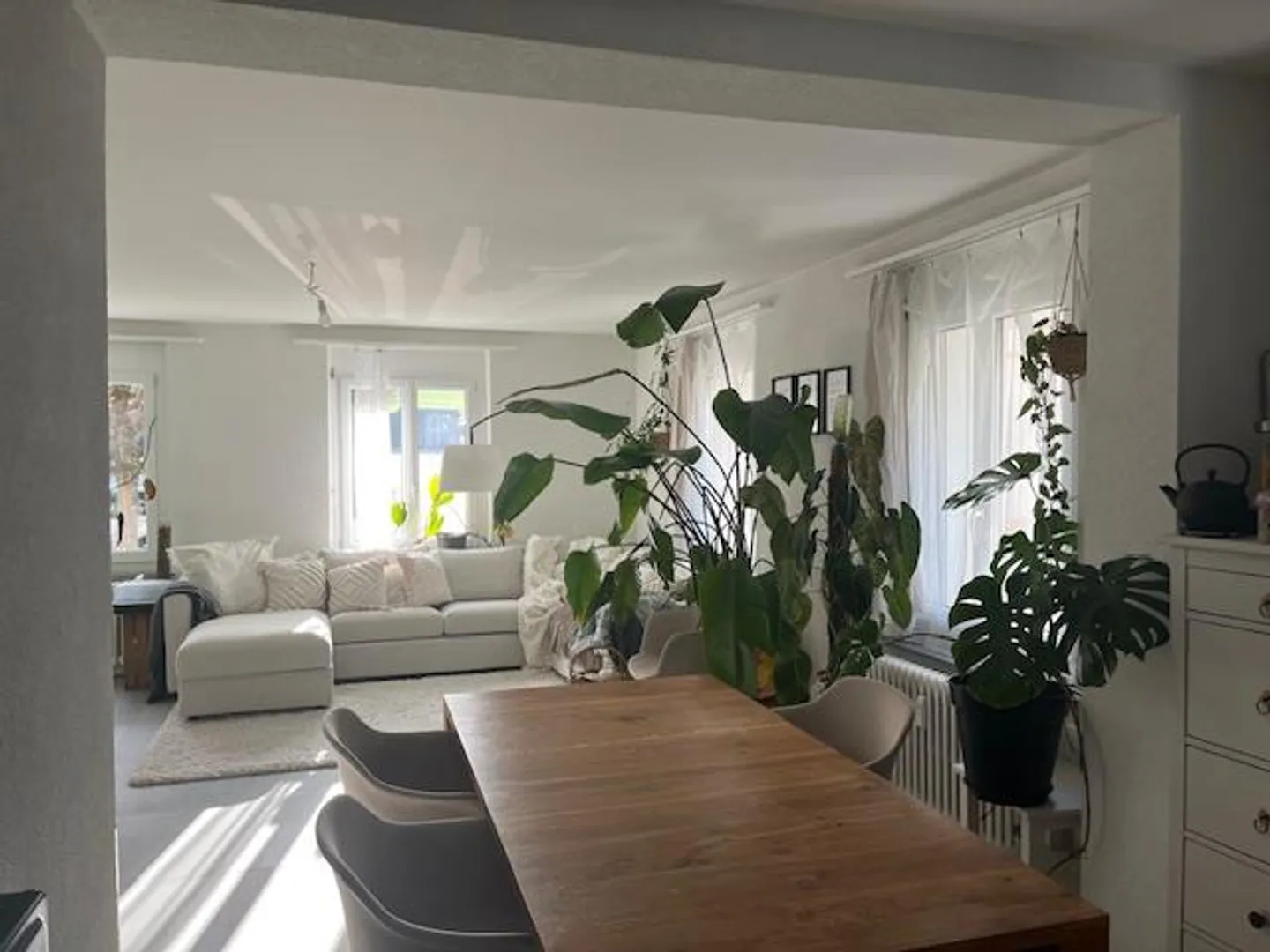 Nachmieter gesucht für schöne 3.5 Zi Wohnung in Gelterkinden - Foto 1 von 5