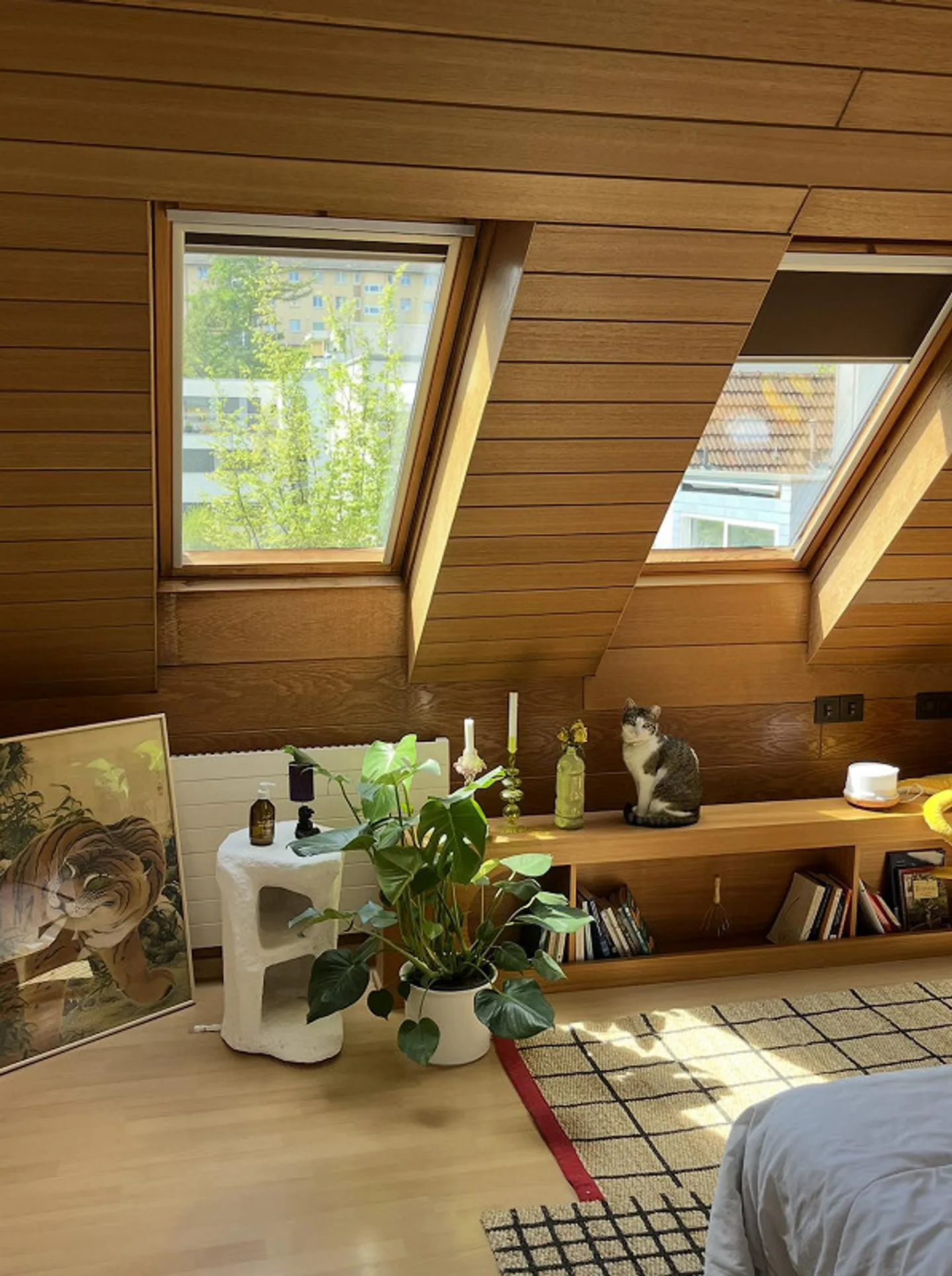 Appartamento 3,5 stanze / 2 camere disponibili, ottimi collegamenti - Foto 3 di 5