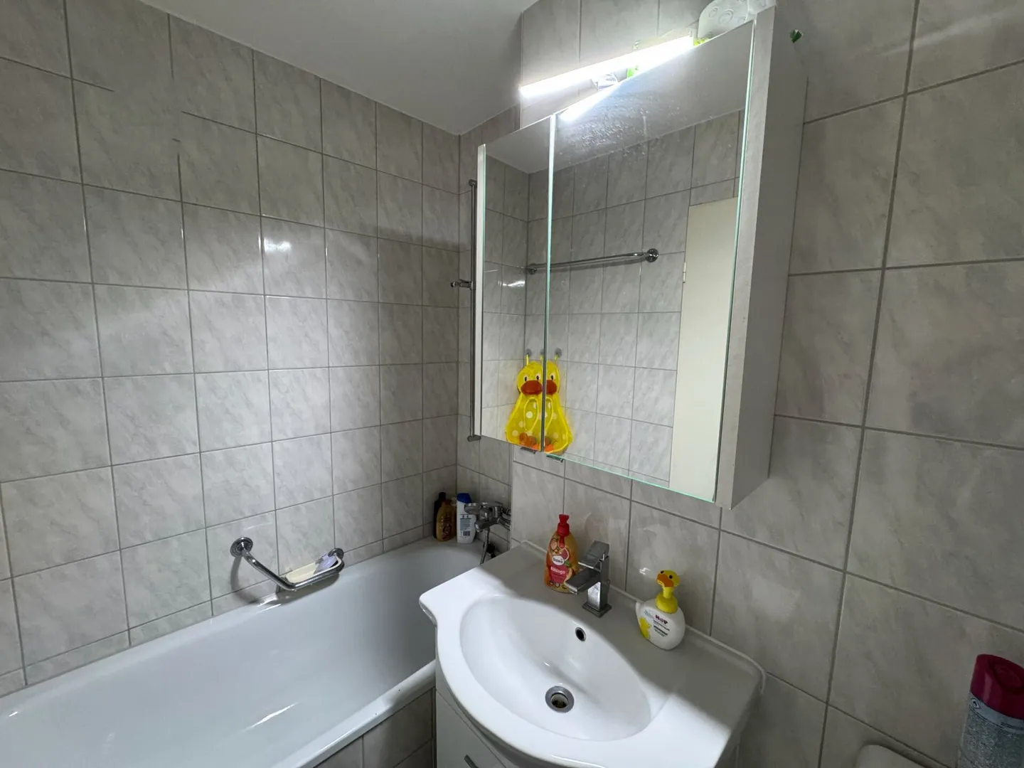 Vivere con vista: luminoso appartamento di 3,5 stanze ad Augst - Foto 5 di 8