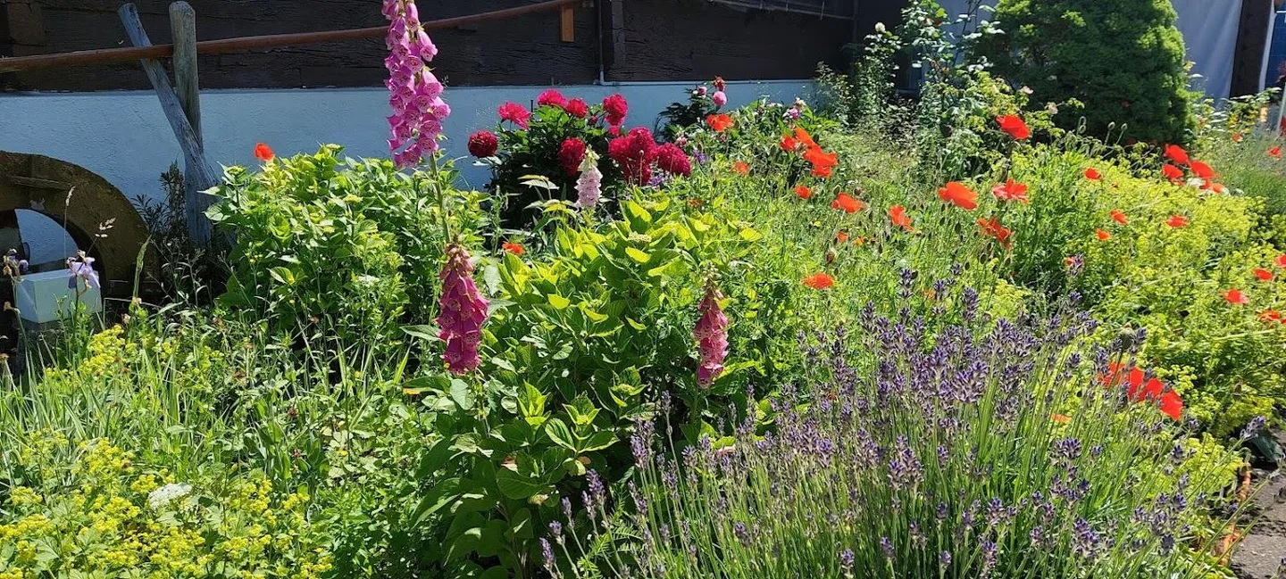4-room apartment in a 300-year-old wooden house - Photo 7 of 9