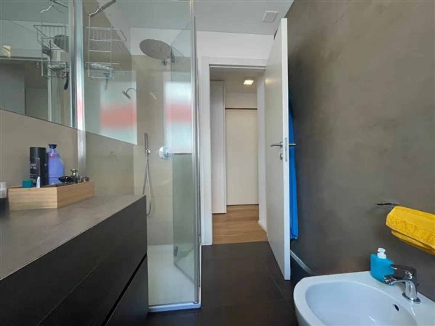 Lugano: Furnished 2.5-room apartment - Photo 9 of 9
