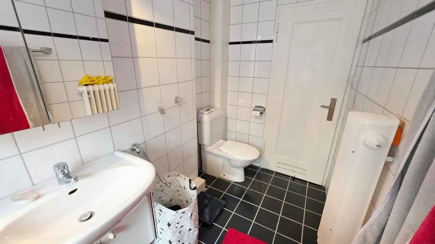 Bel appartement lumineux à seulement 1 minute du fleuve Rhin - Photo 7 sur 12