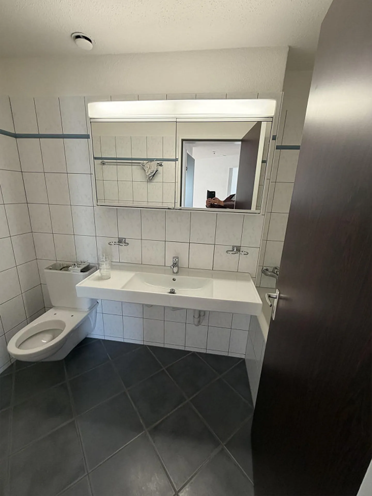 Beautiful and bright 4.5 room apartment in the center of Herisau - Photo 4 of 15