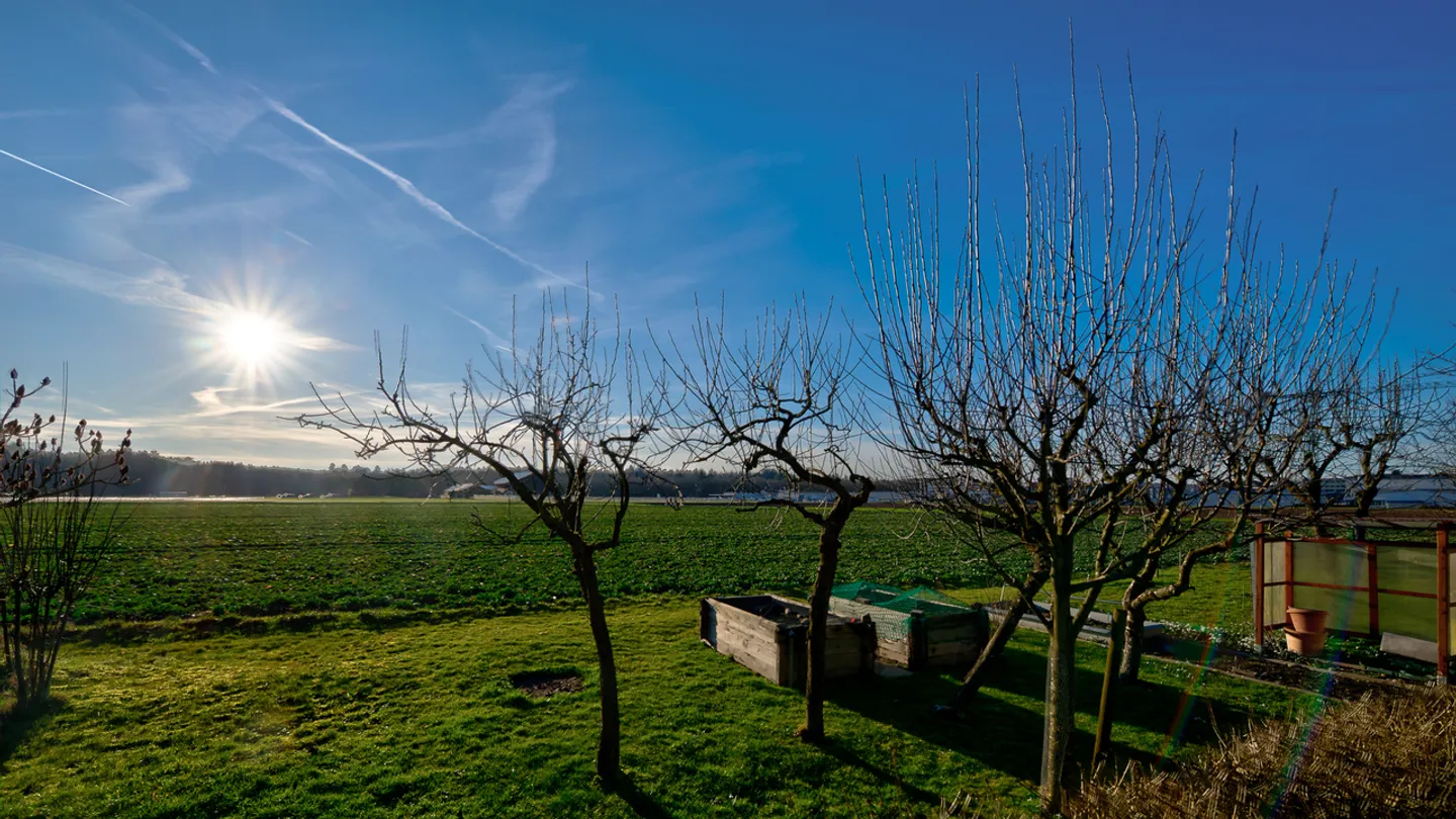 Maison jumelée de 5 ½ pièces soigneusement entretenue - Photo 7 sur 10