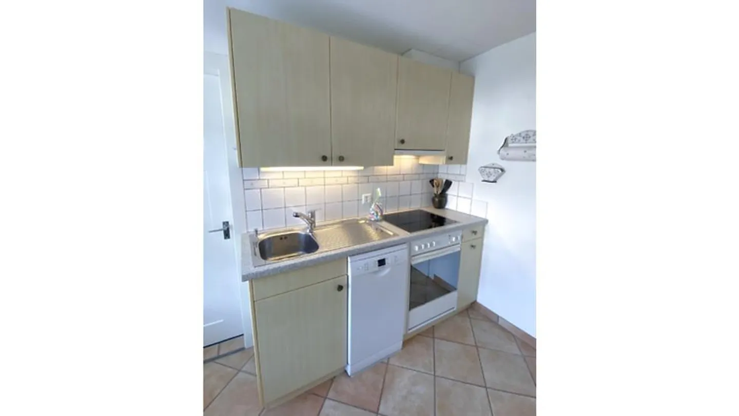 APPARTAMENTO 3 LOCALI A RICKENBACH SULZ (ZH), ARREDATO, TEMPORANEO - Foto 3 di 8
