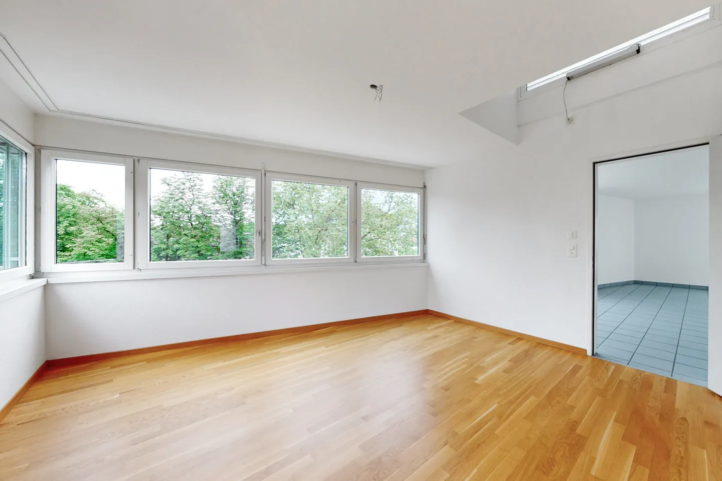 Ti piace l'eccentrico? Sei nel posto giusto! - Foto 7 di 12